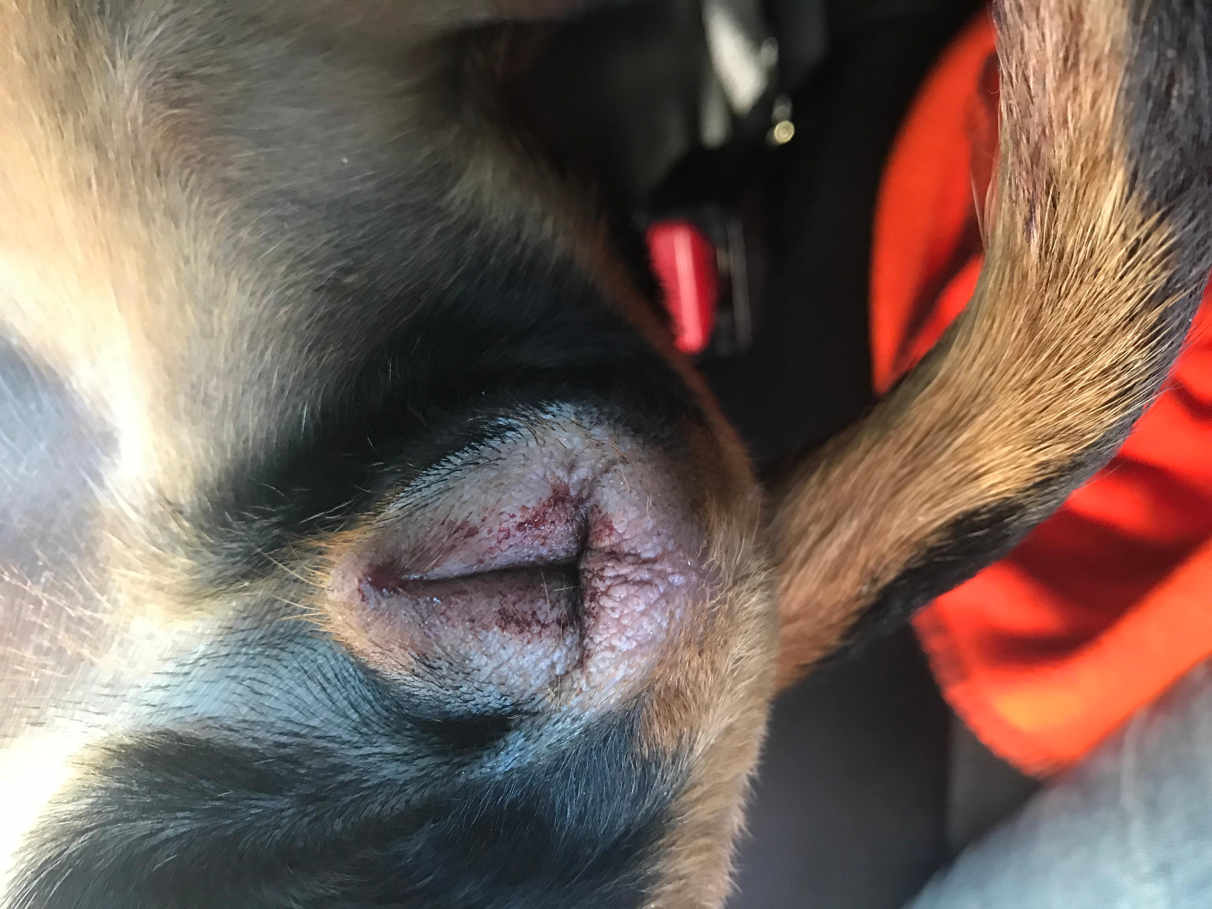 Question details sensitive content