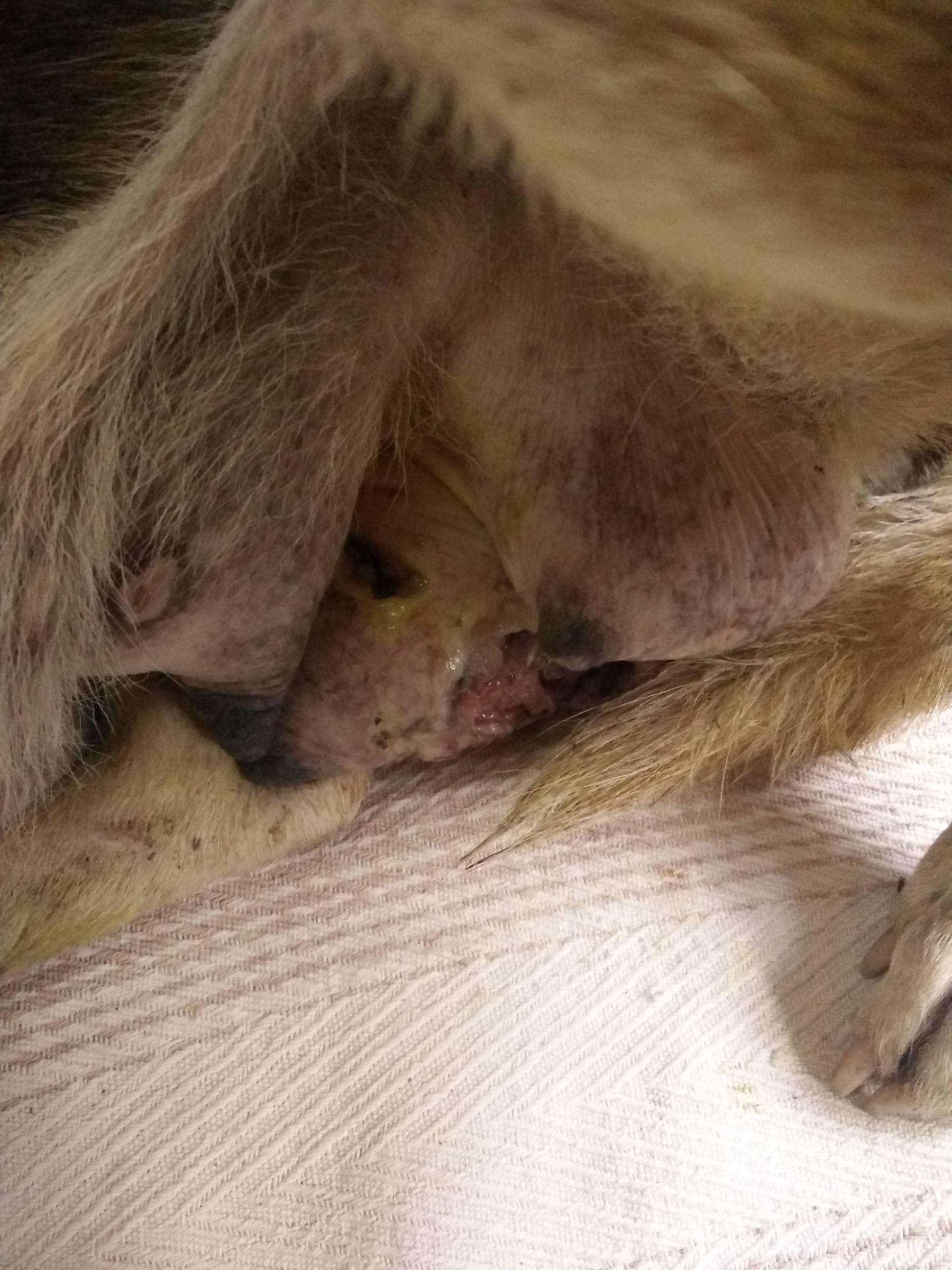 Question details sensitive content