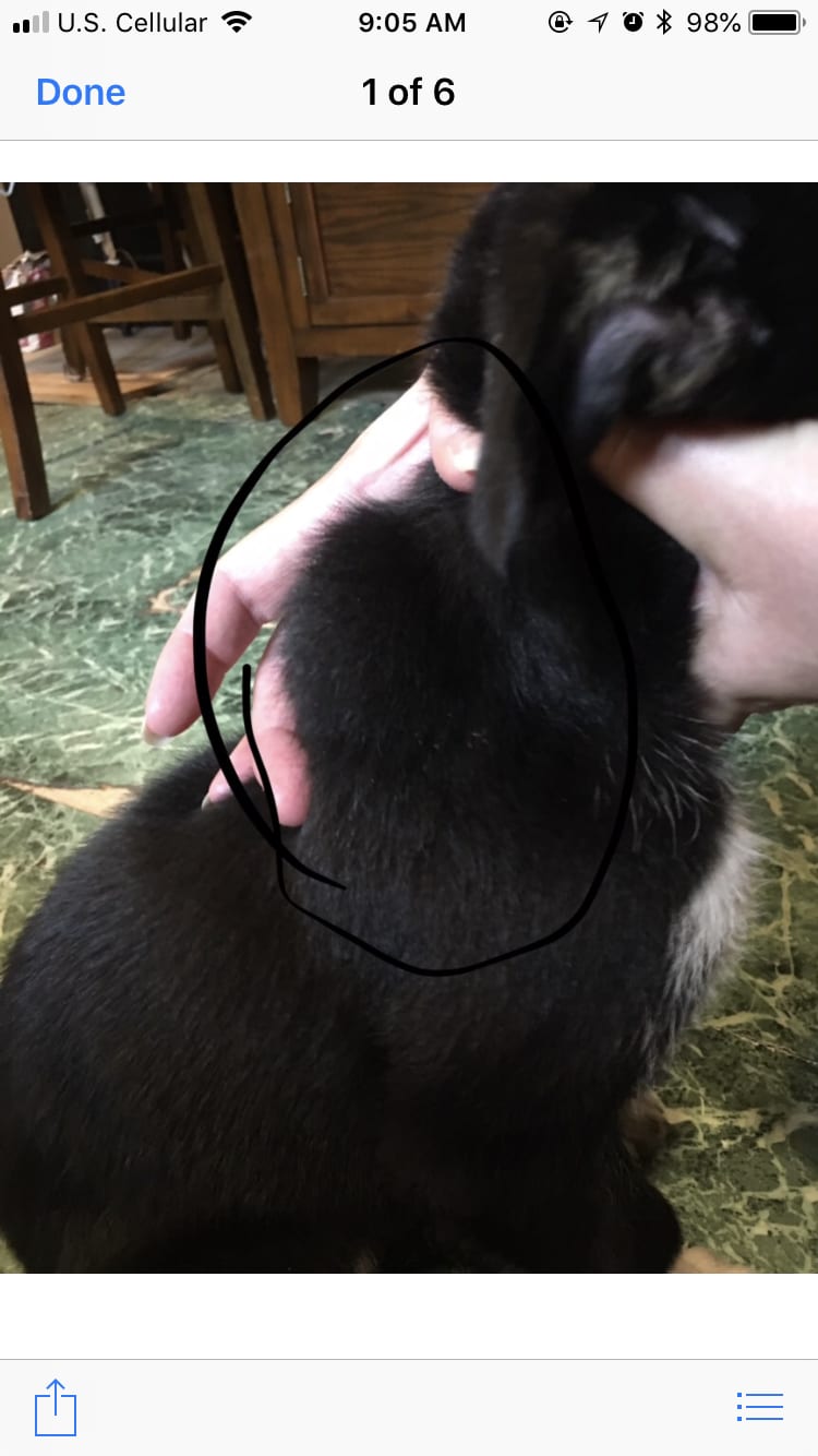 Question details sensitive content