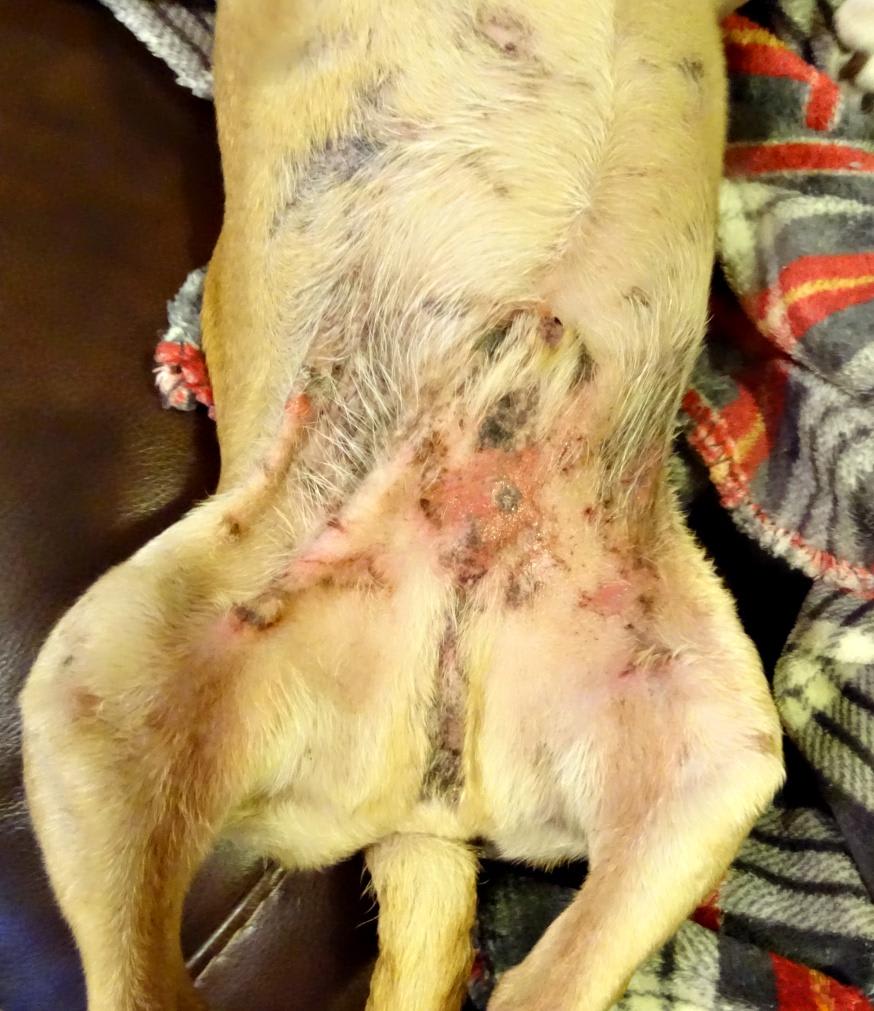 Question details sensitive content