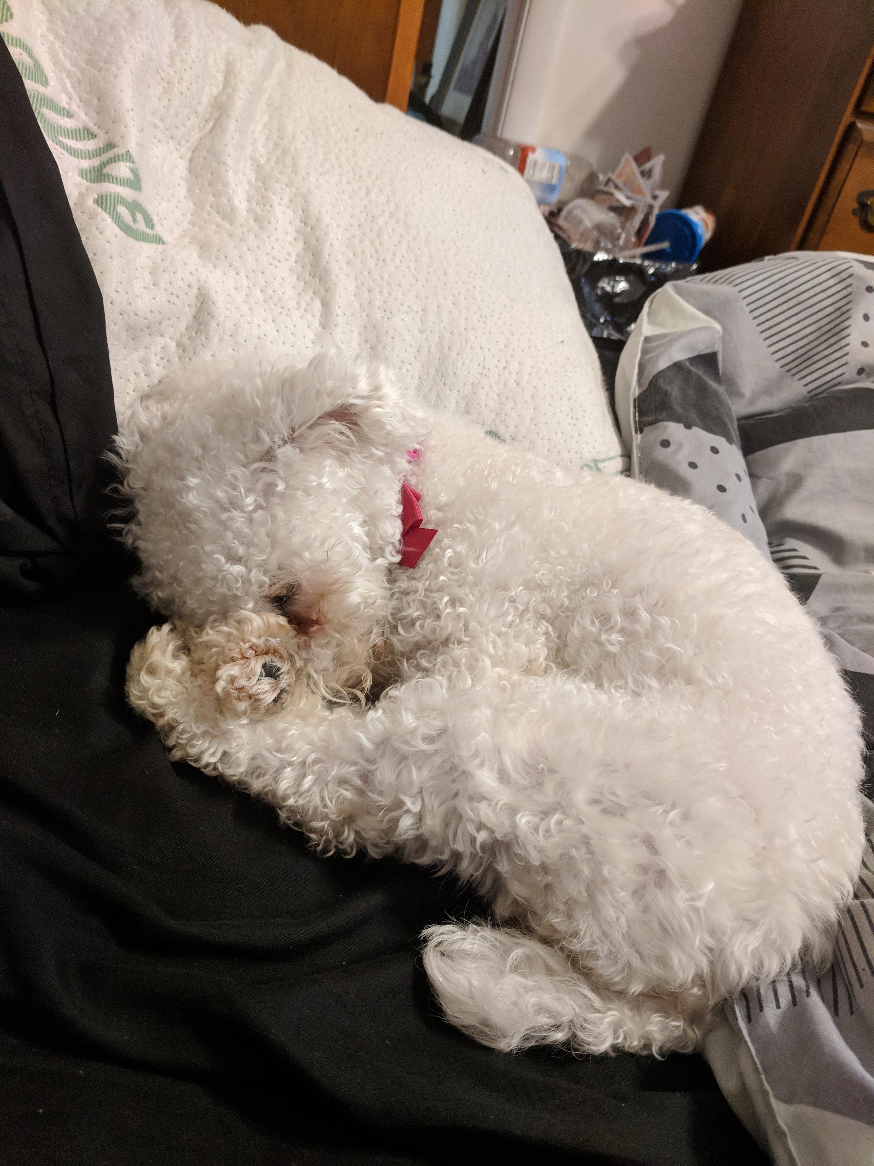 Question details sensitive content