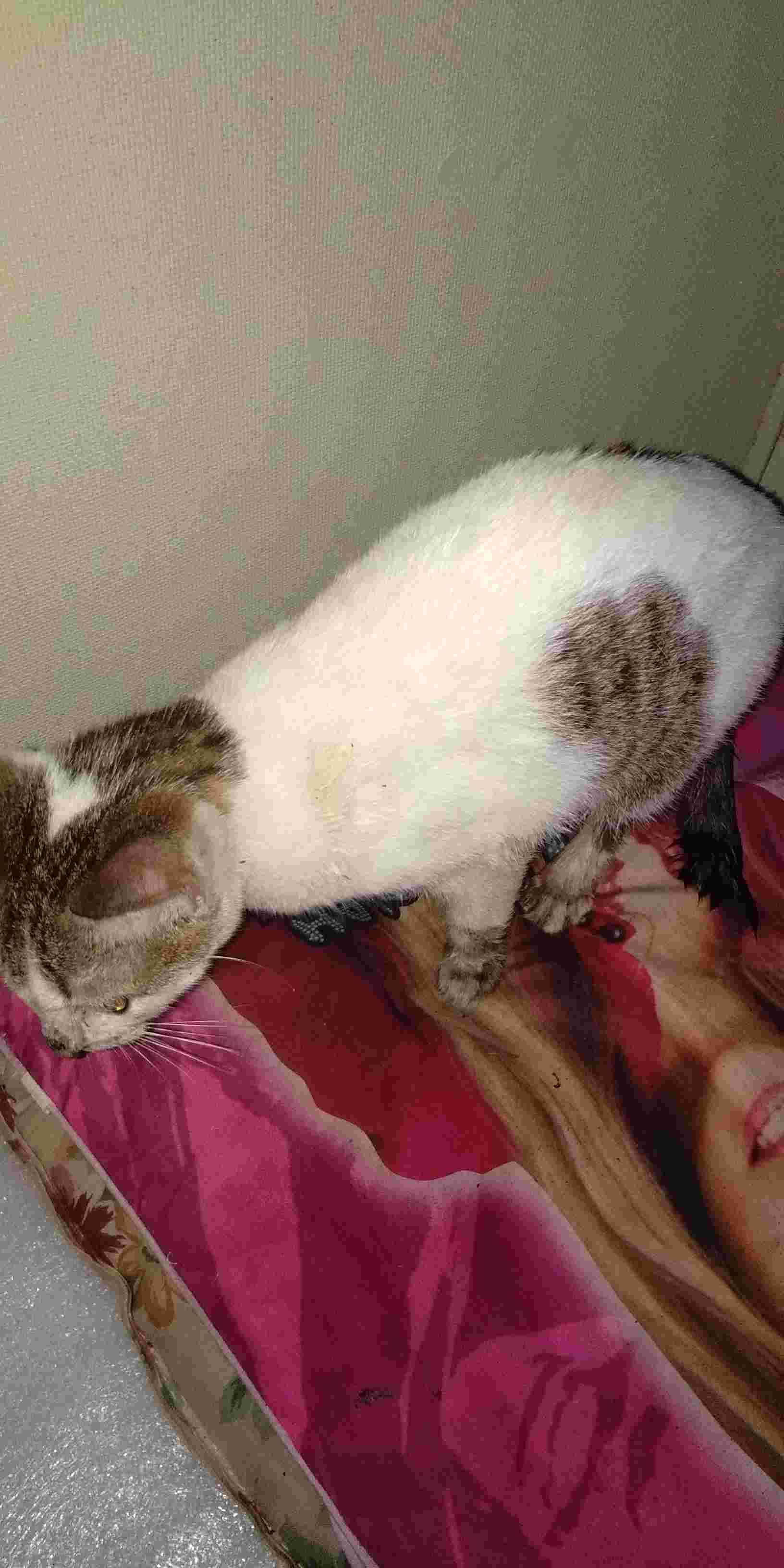 Question details sensitive content