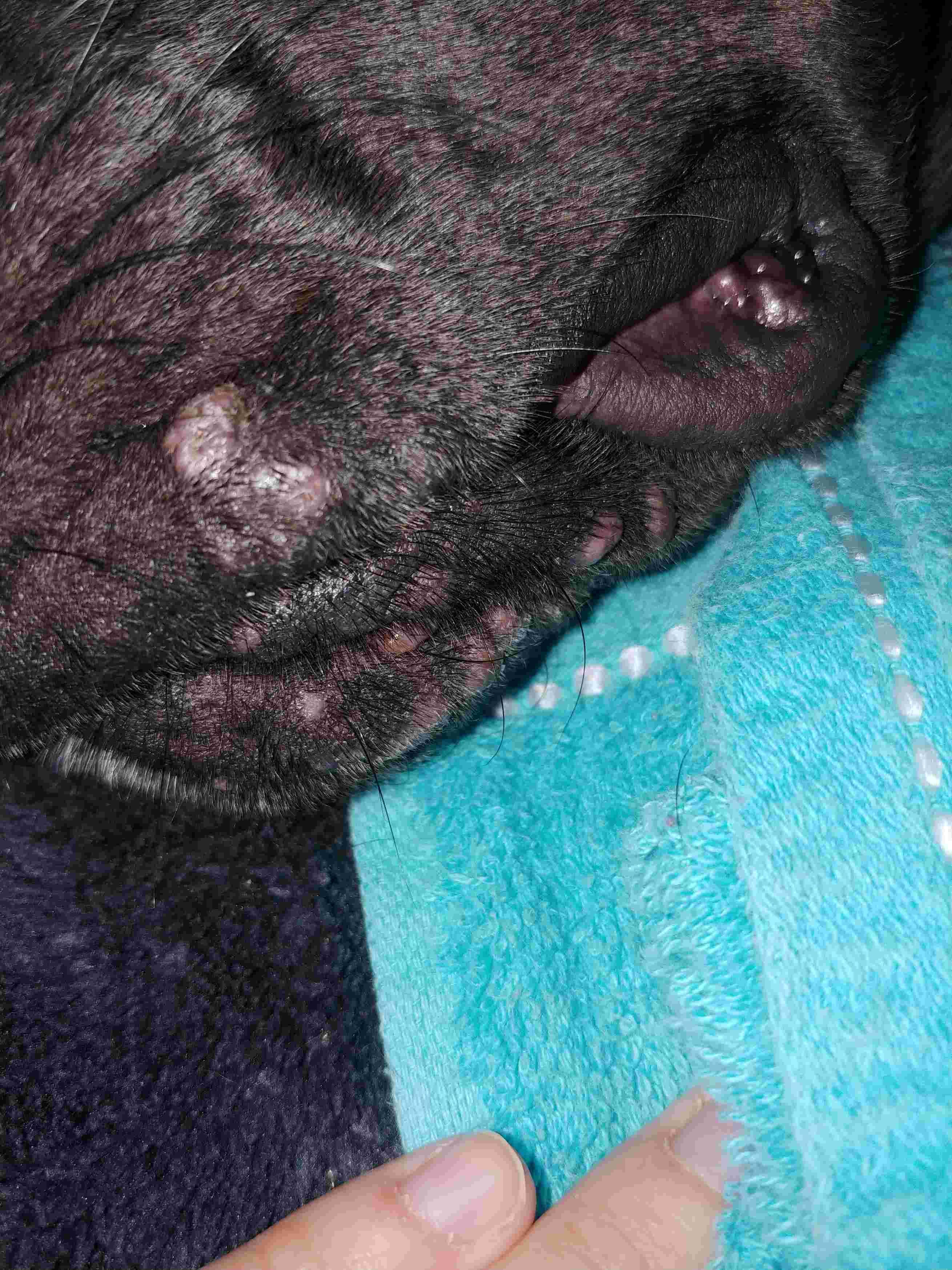 Question details sensitive content