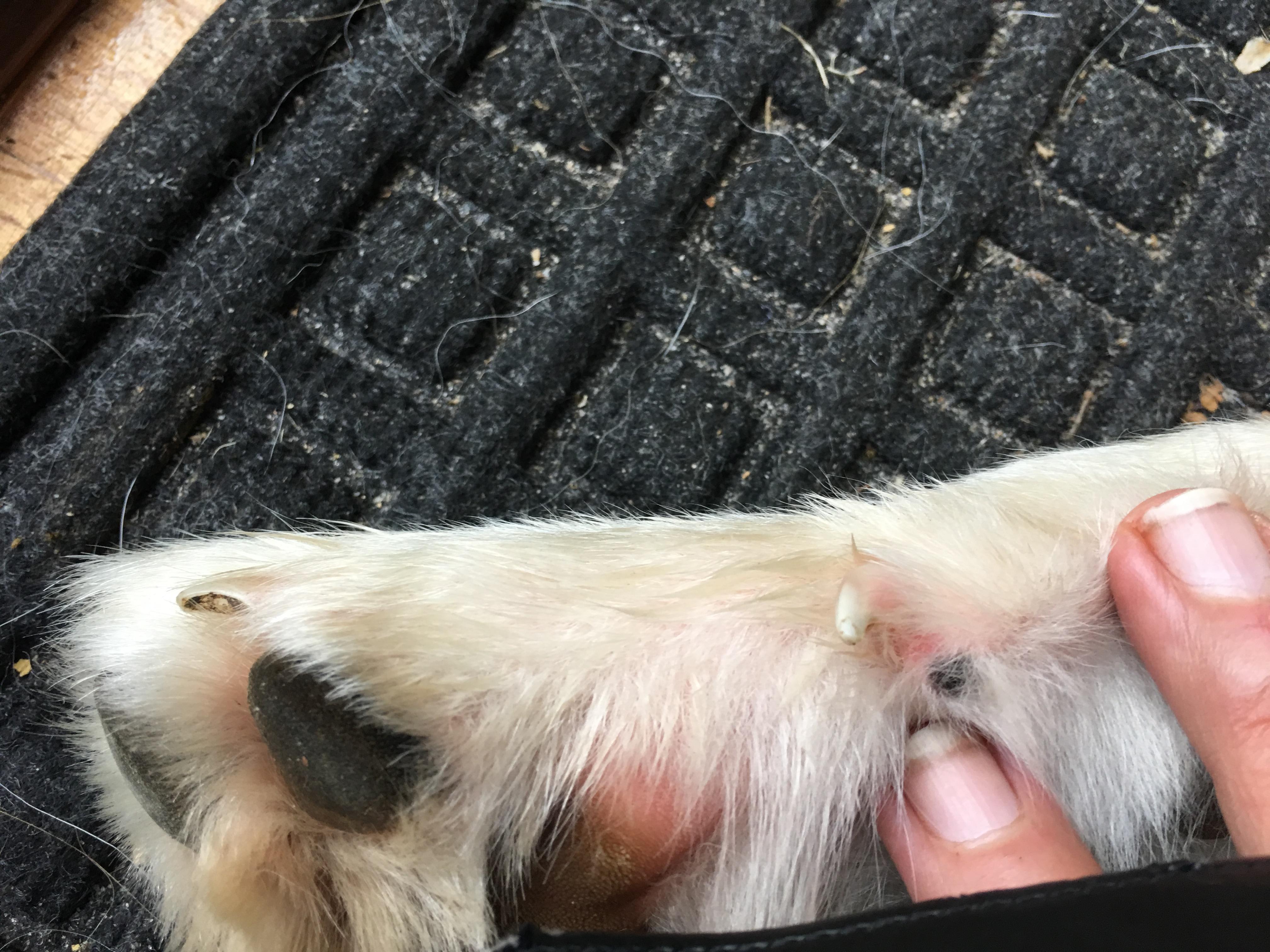 Question details sensitive content