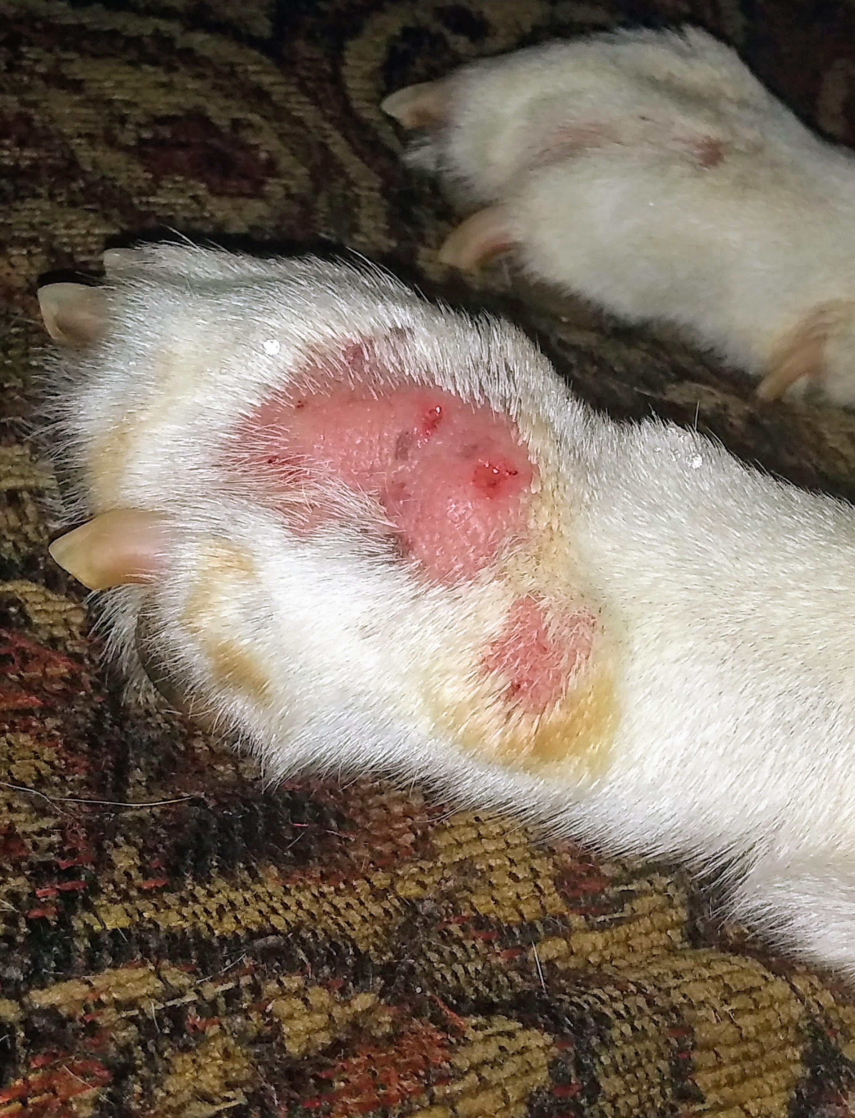 Question details sensitive content