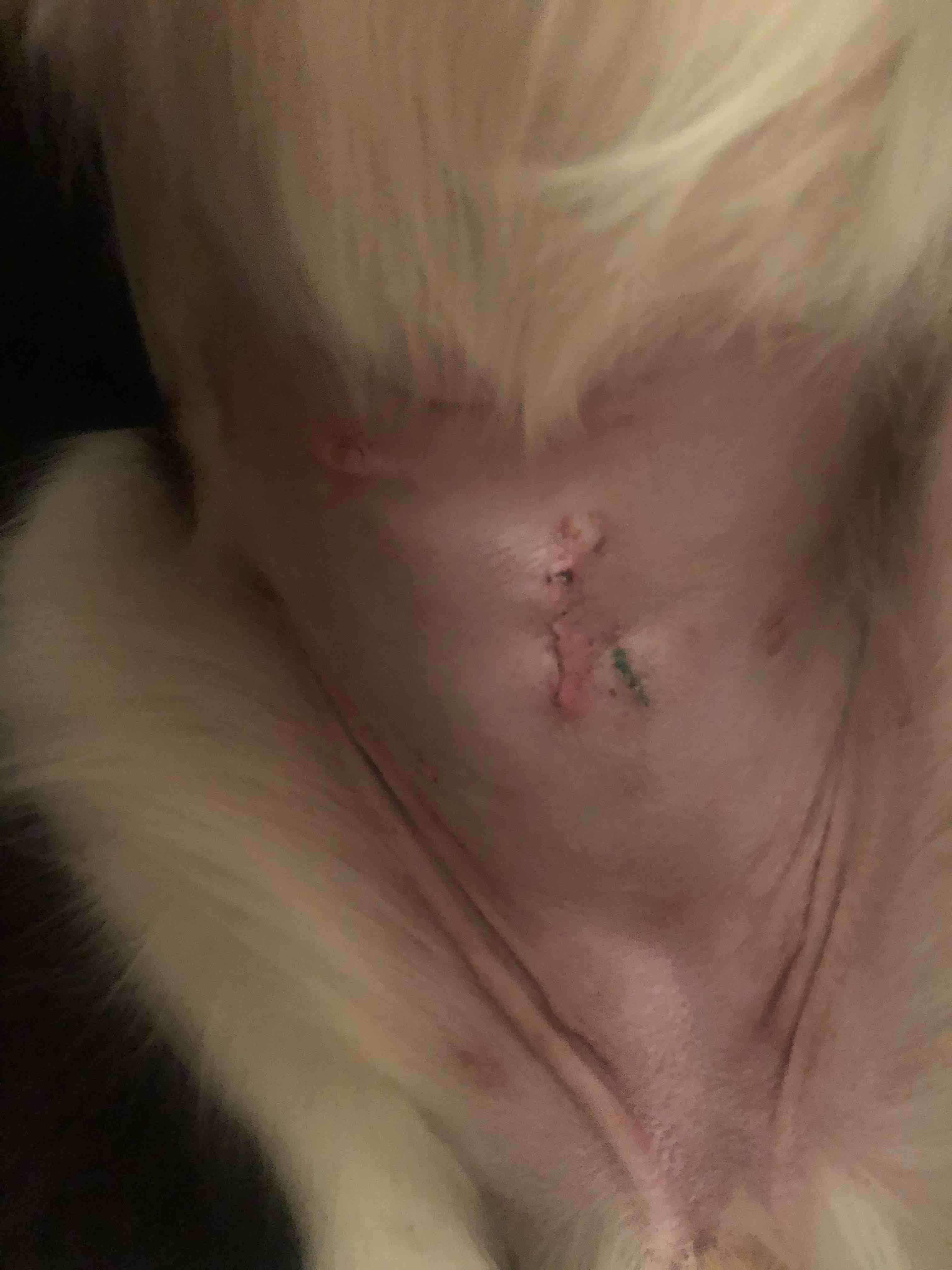 Question details sensitive content