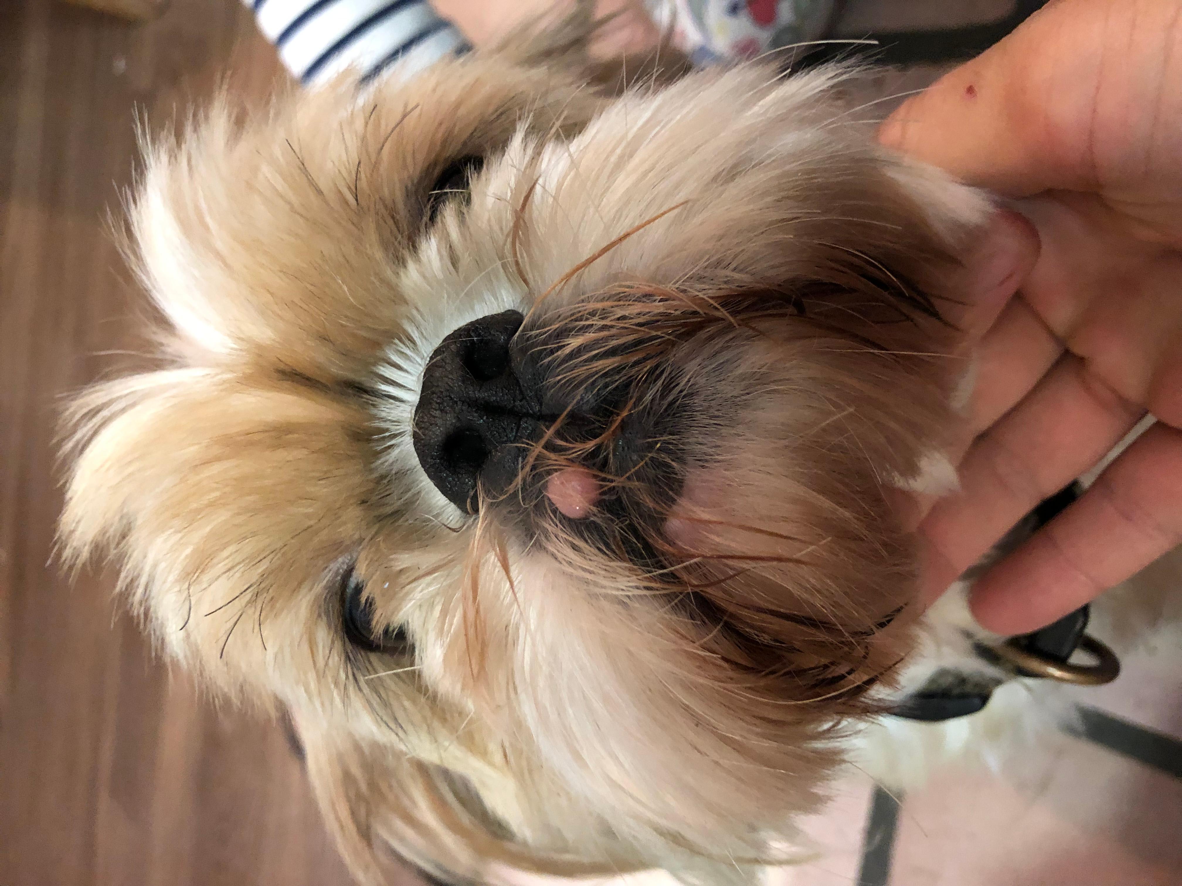 Question details sensitive content