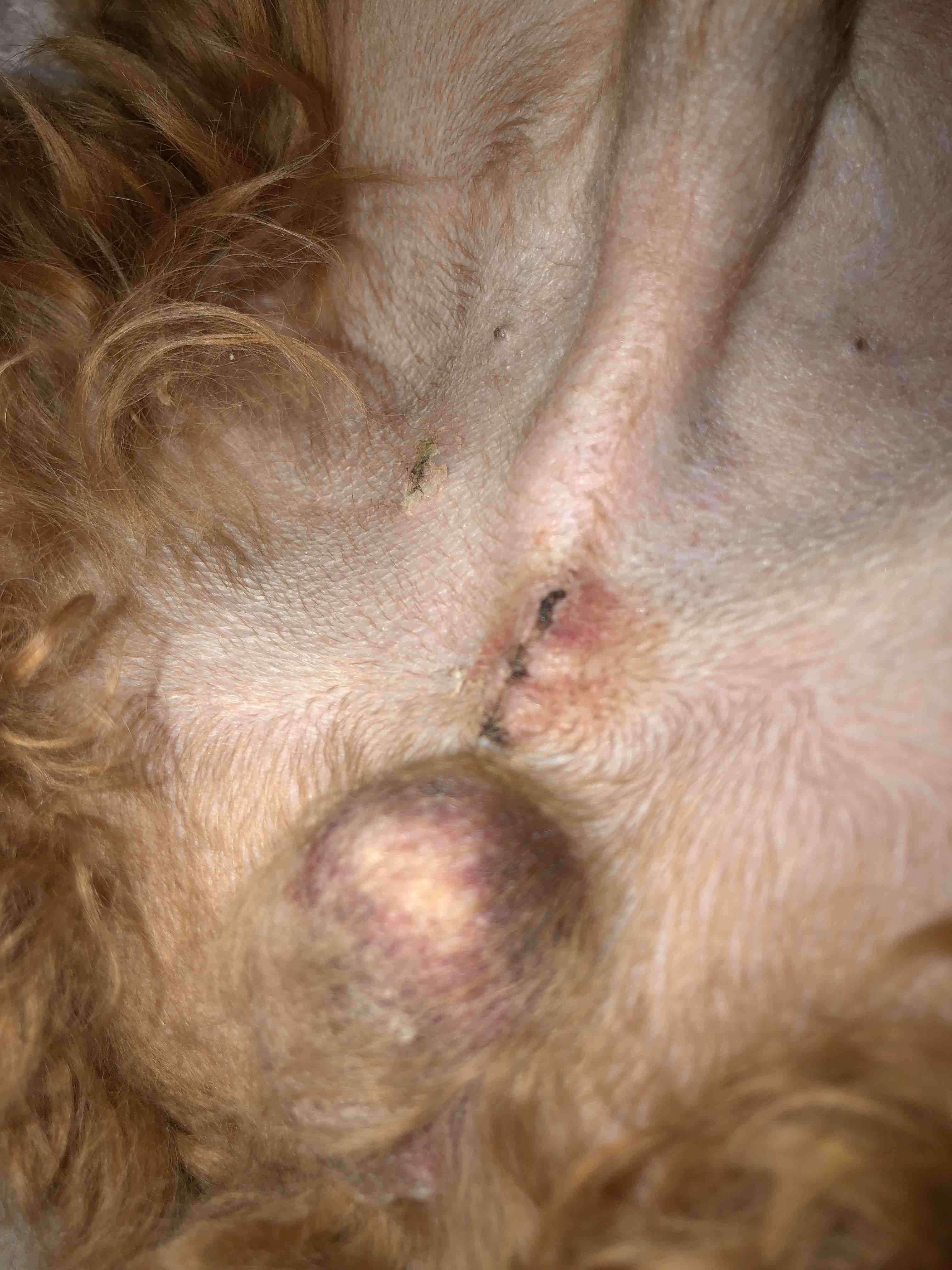 Question details sensitive content