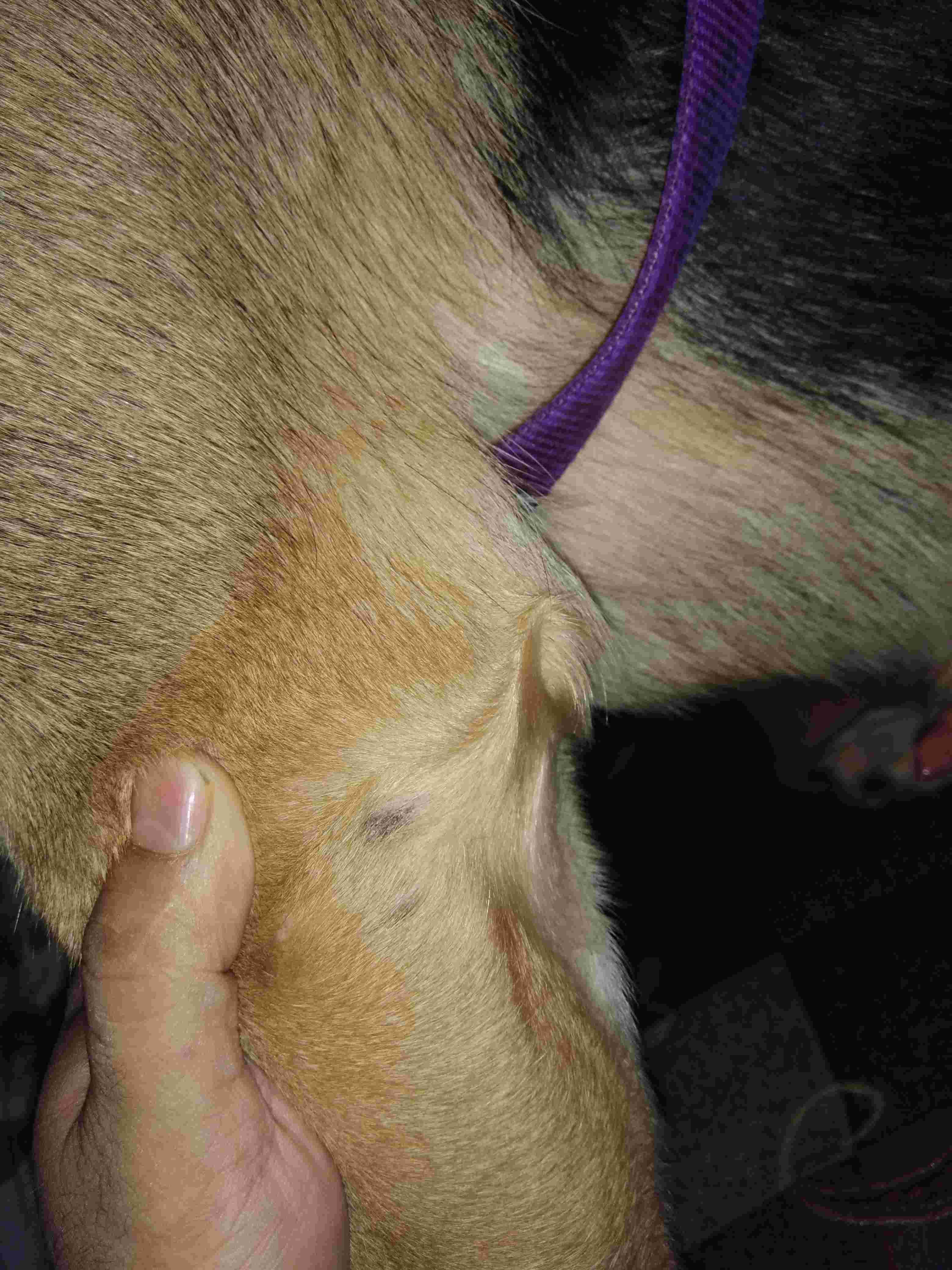 Question details sensitive content