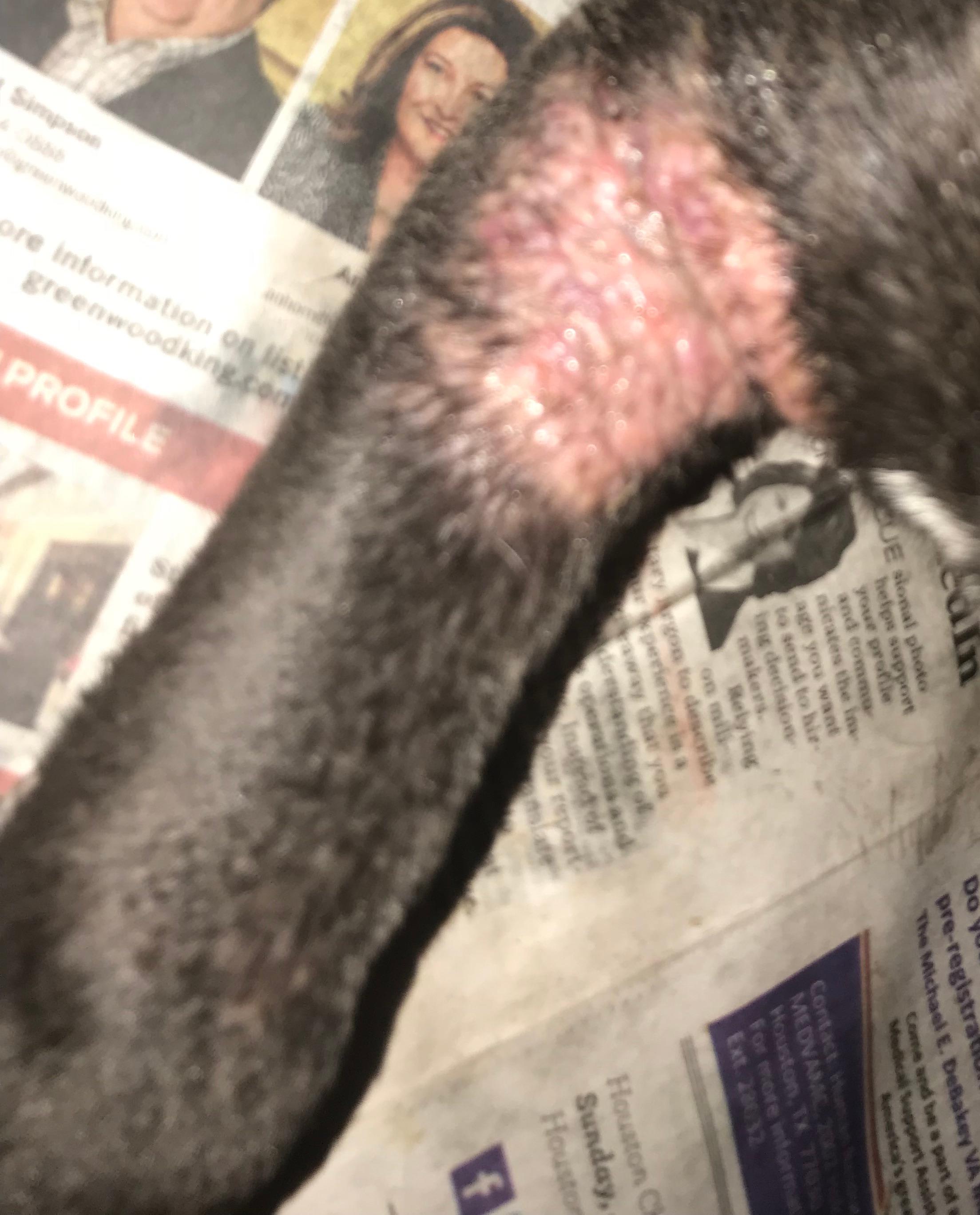 Question details sensitive content