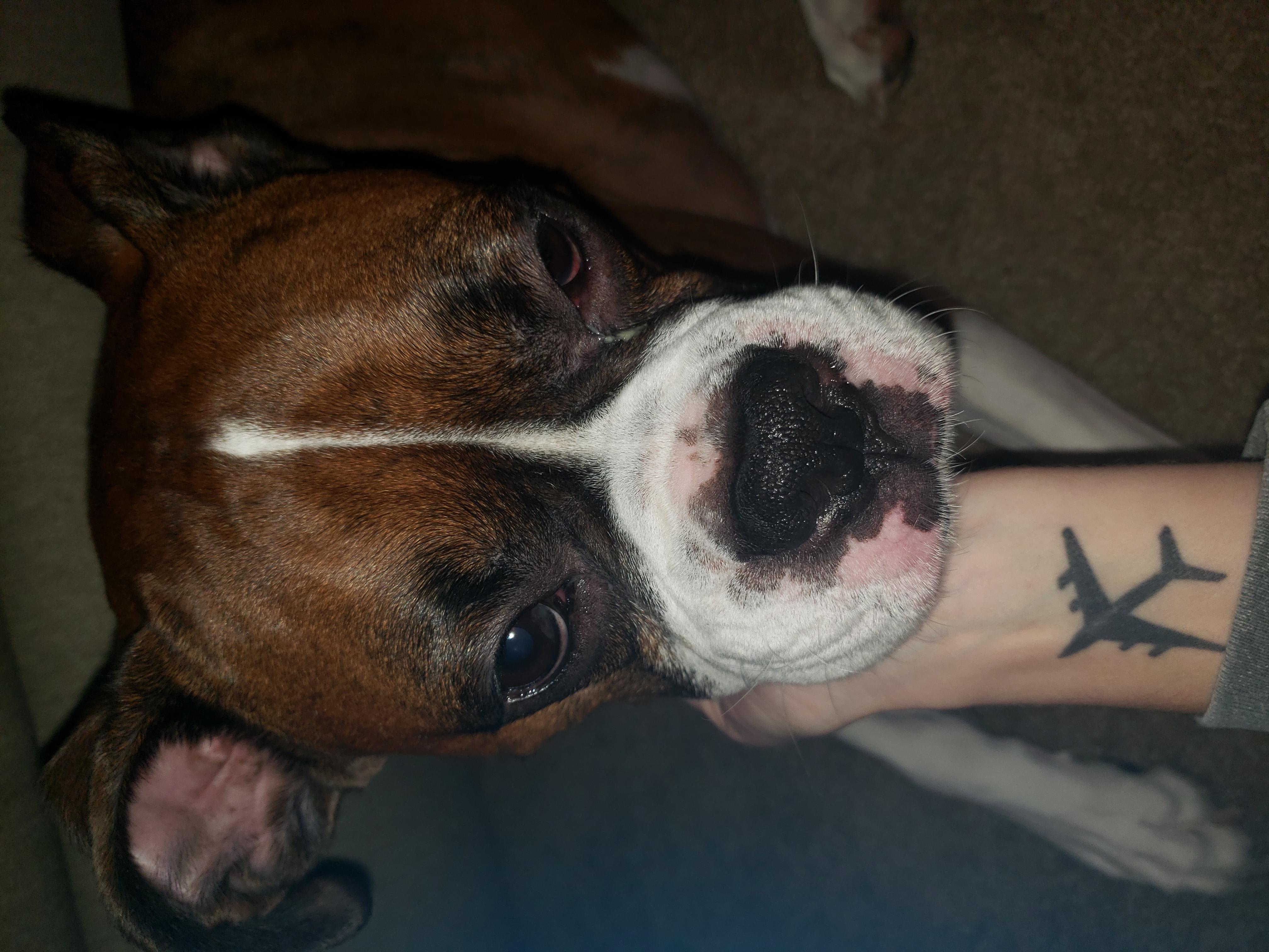 Question details sensitive content