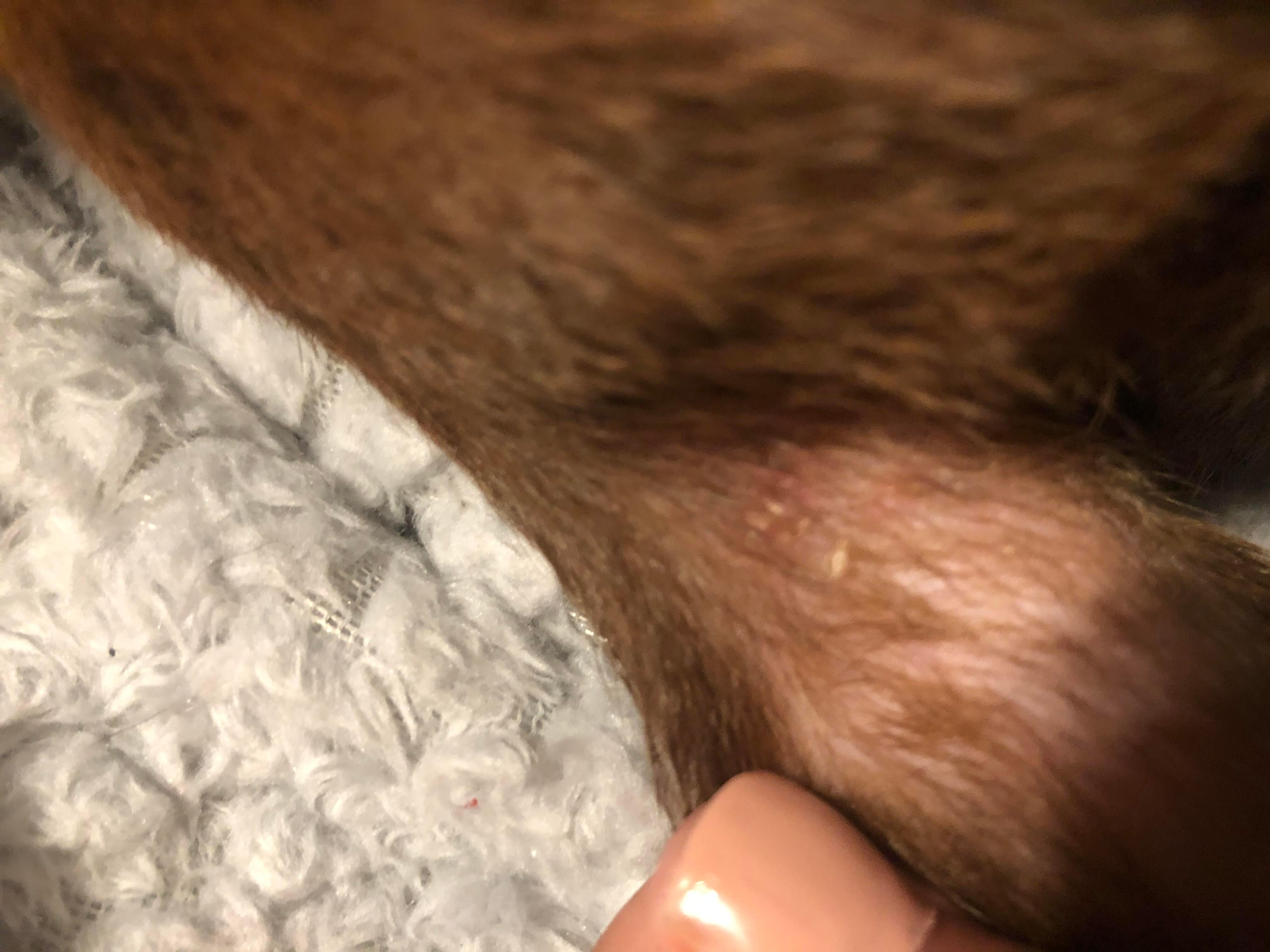 Question details sensitive content