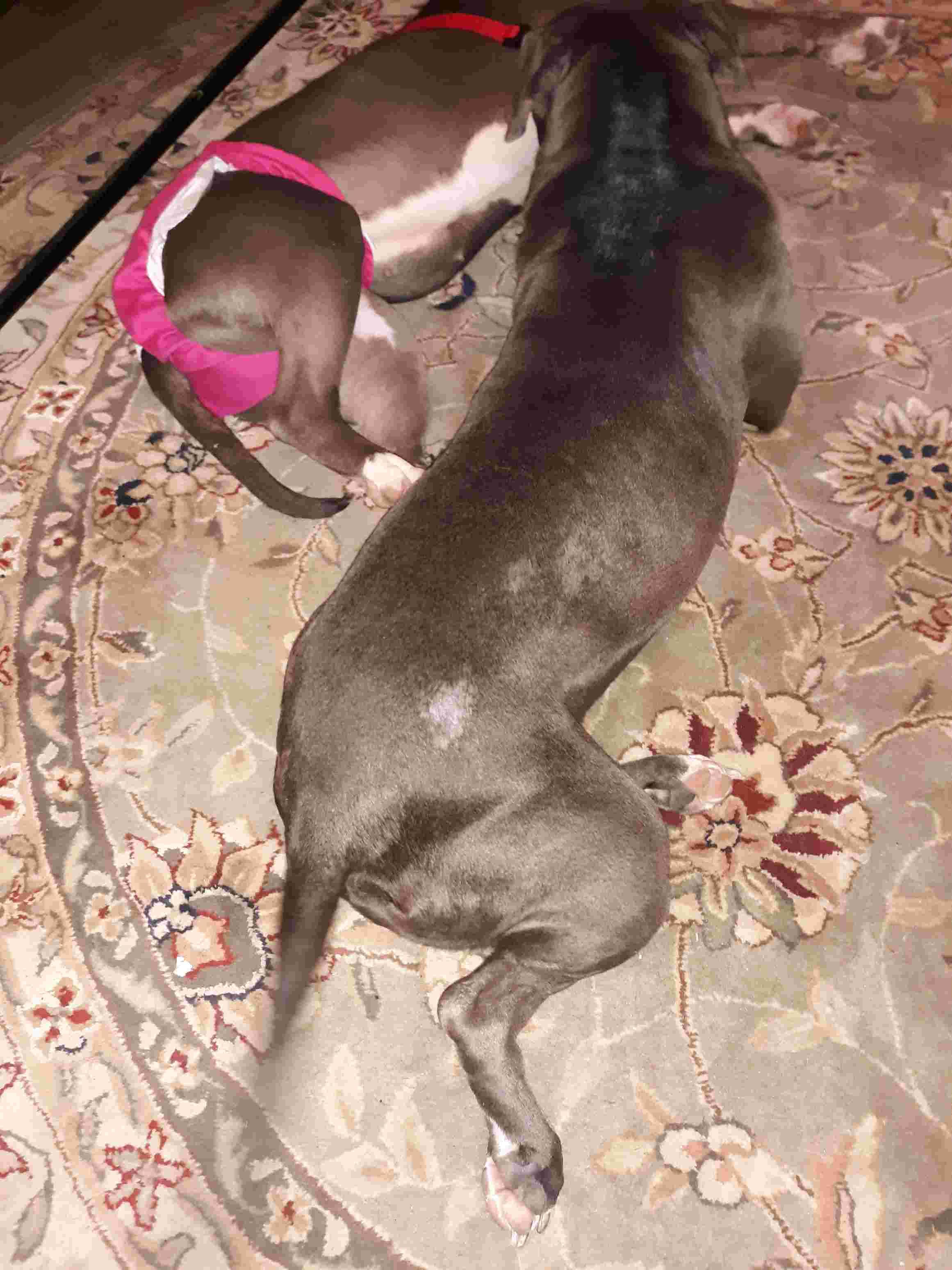 Question details sensitive content