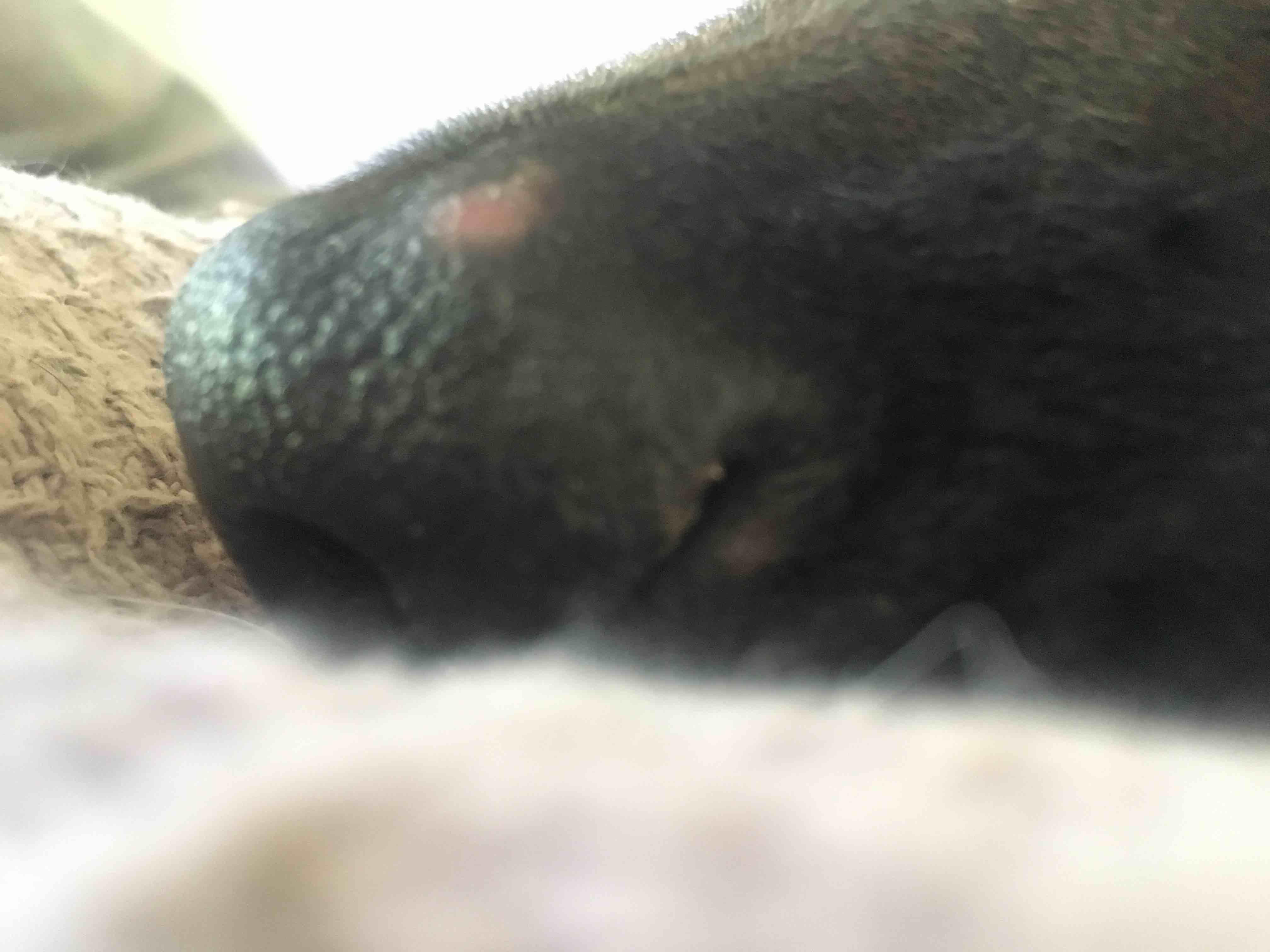 Question details sensitive content