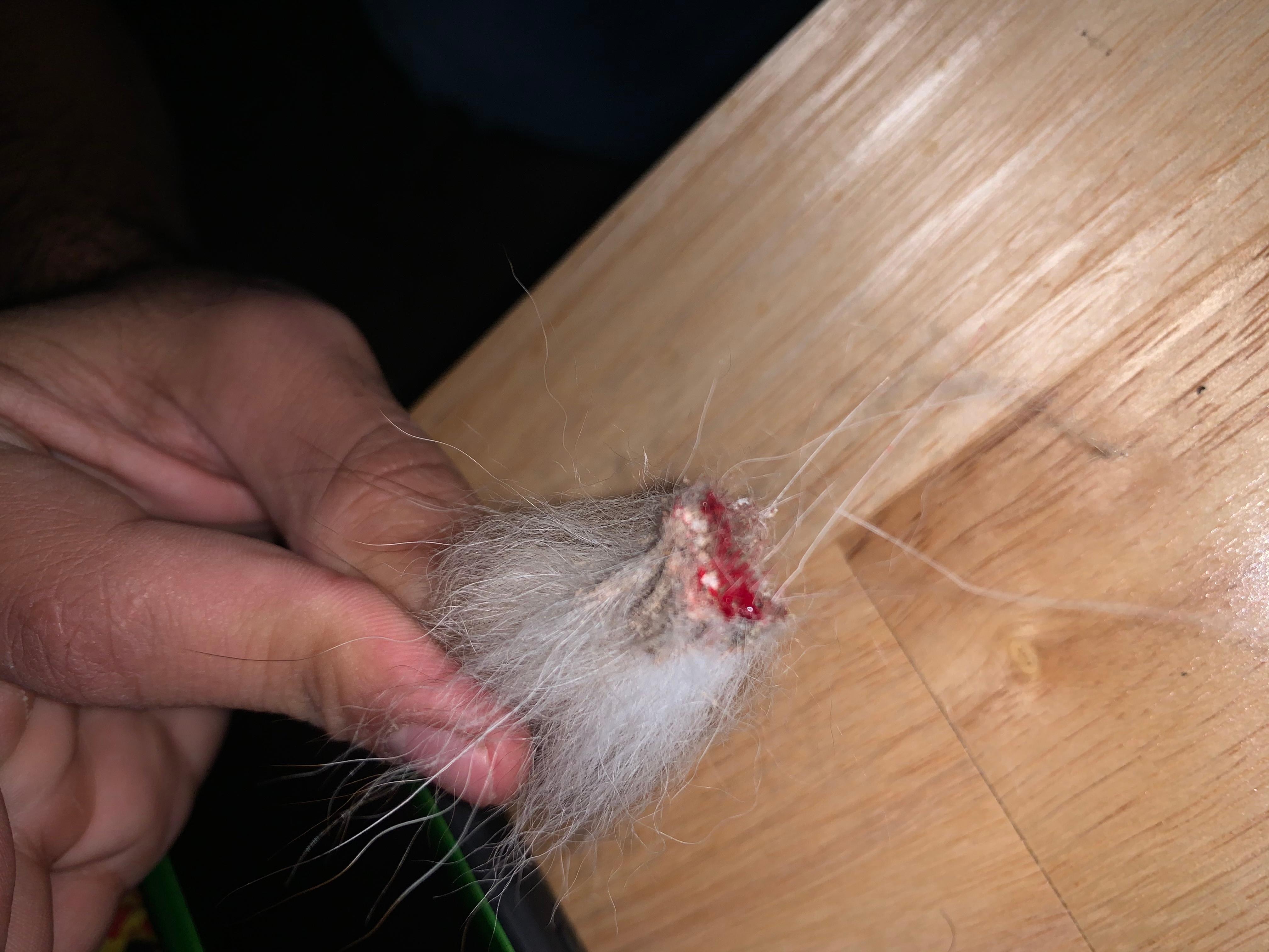 Question details sensitive content