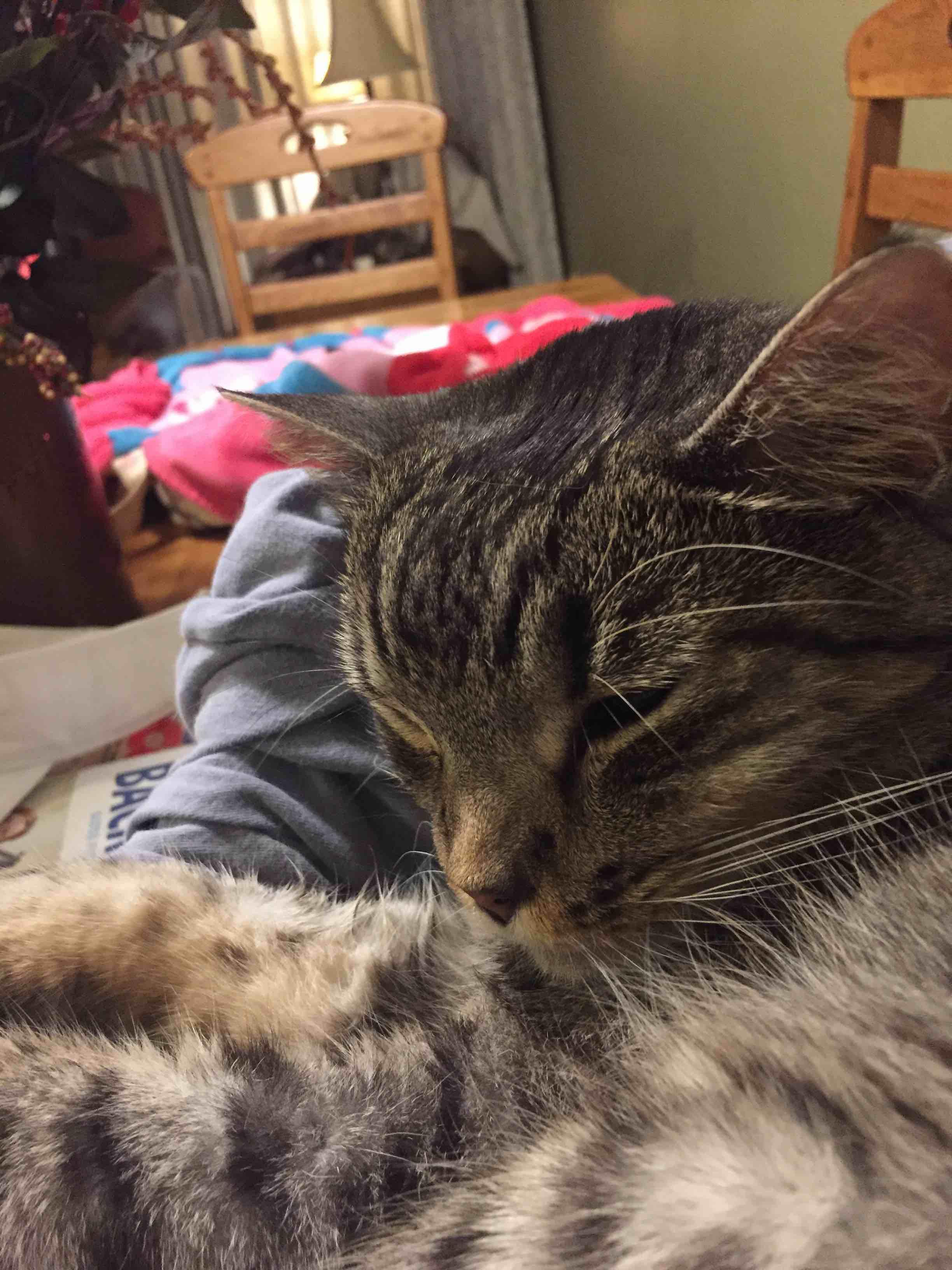 Question details sensitive content