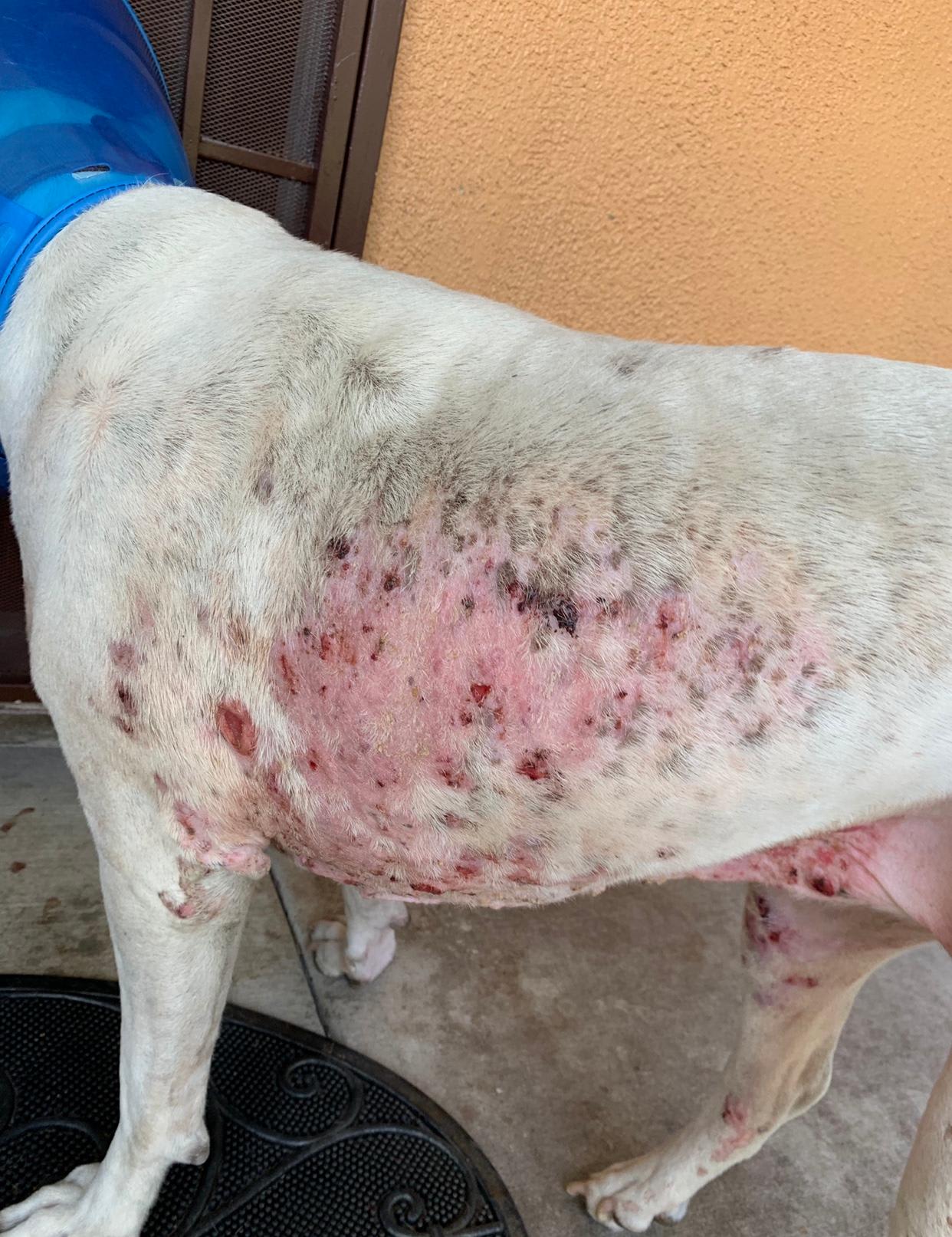 Question details sensitive content