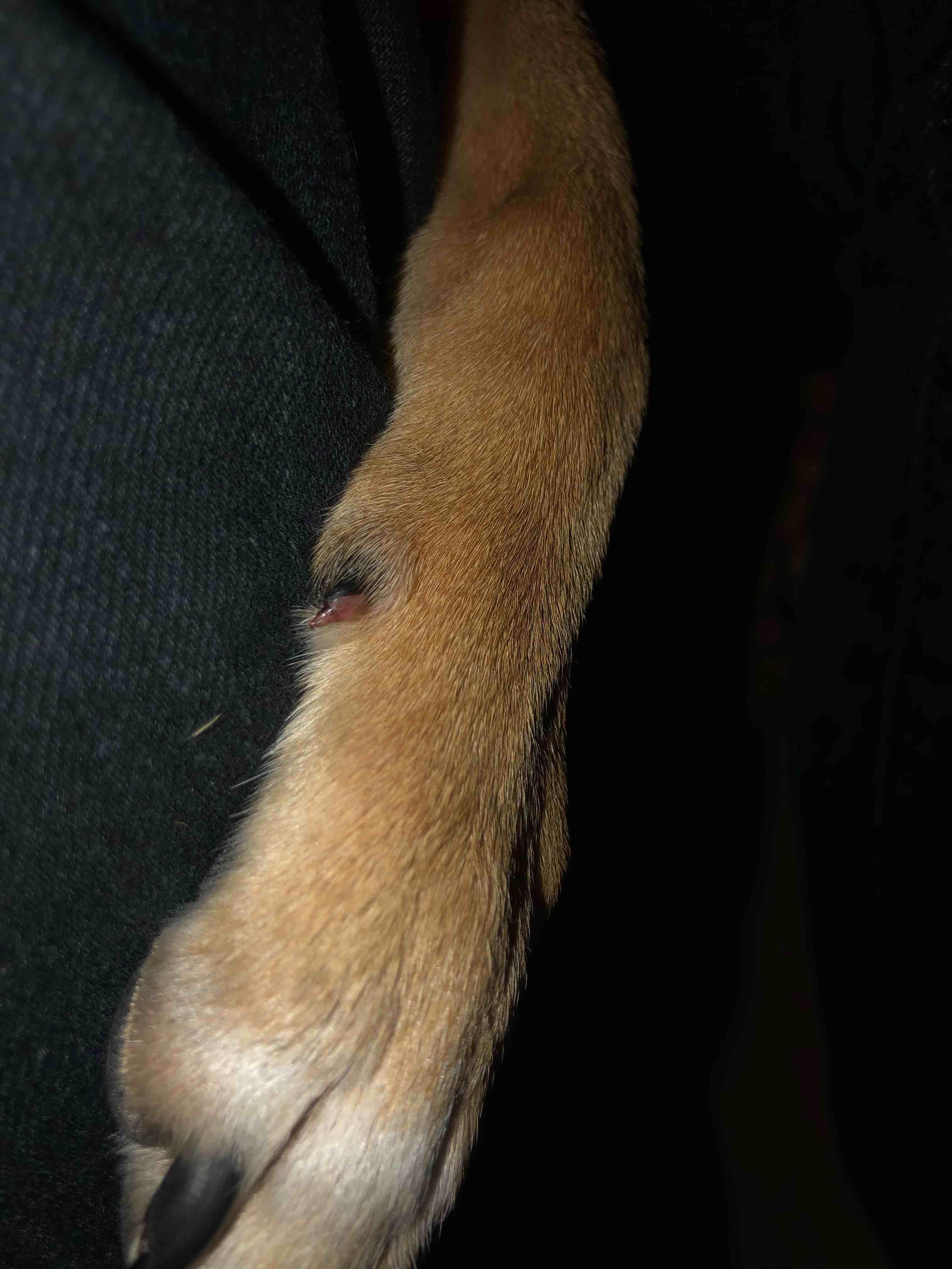 Question details sensitive content