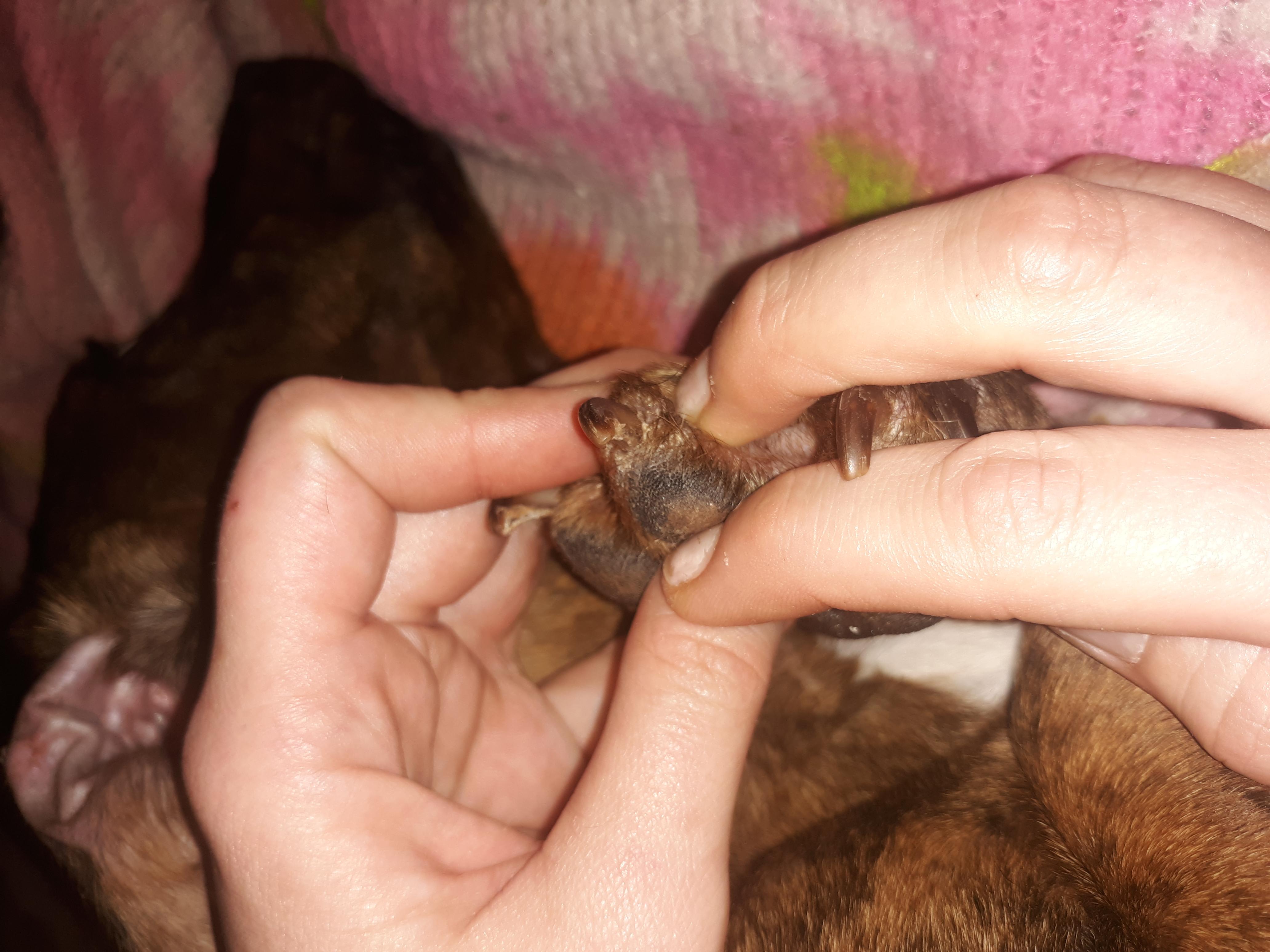 Question details sensitive content