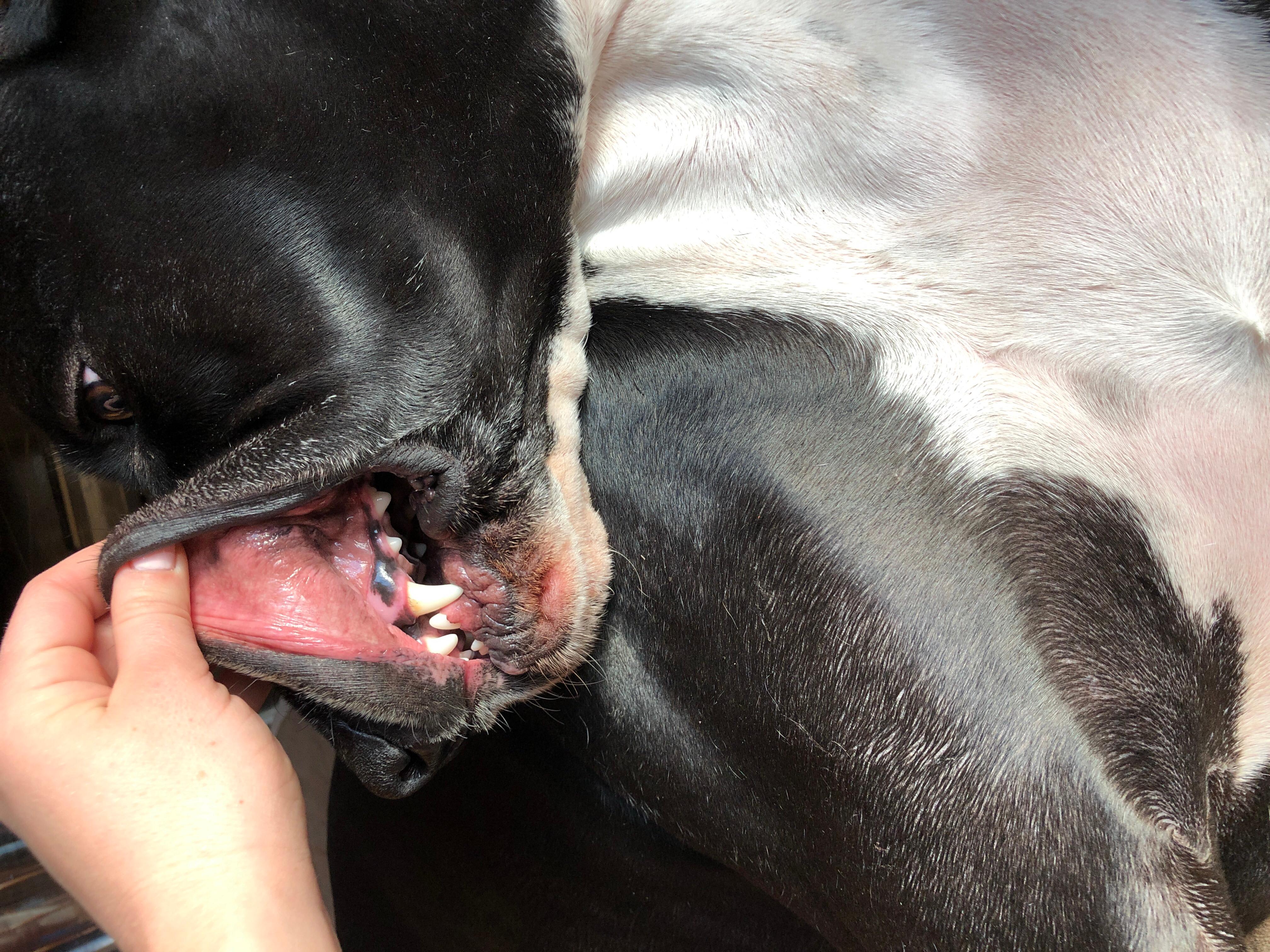 Question details sensitive content