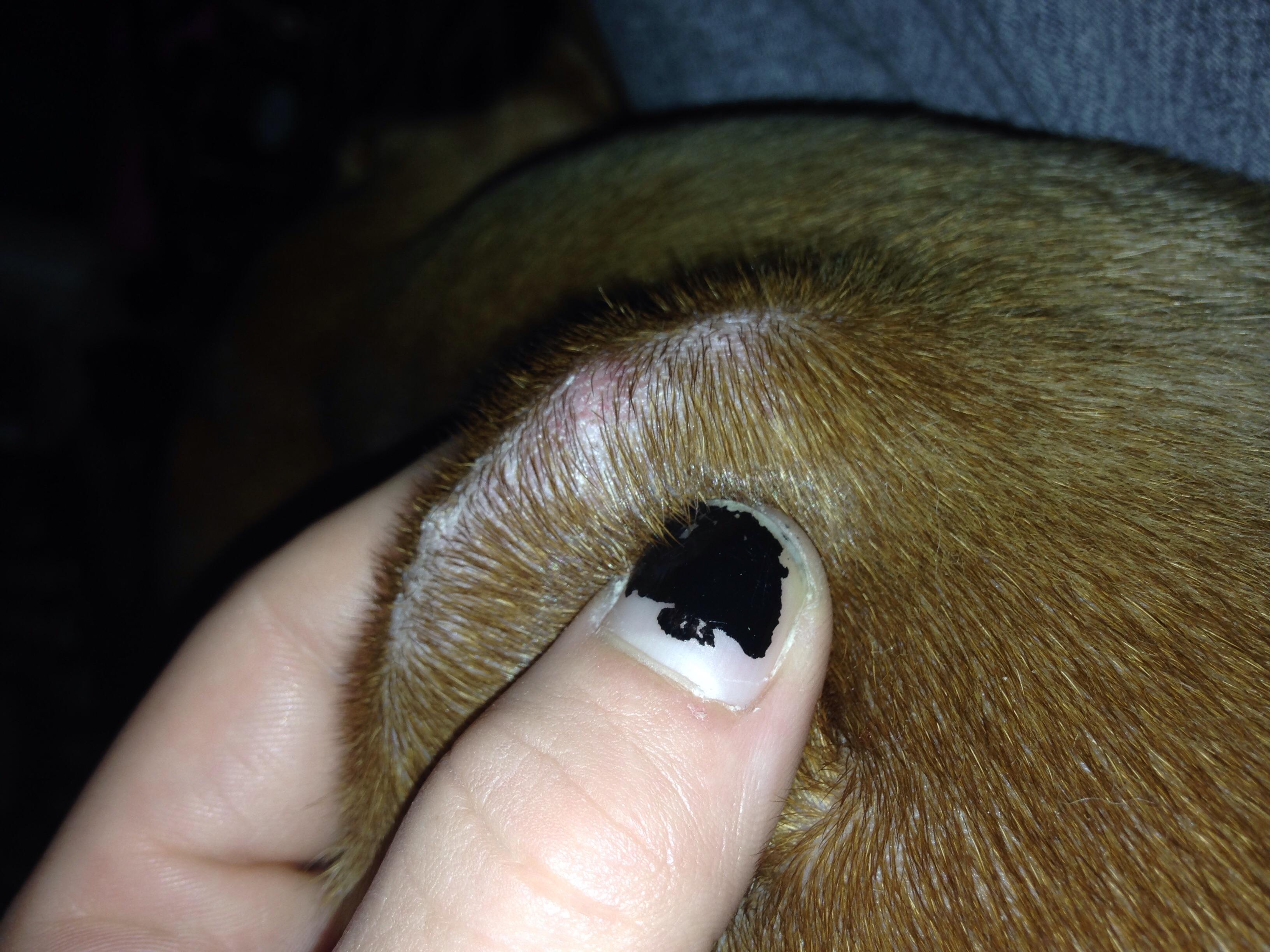 Question details sensitive content