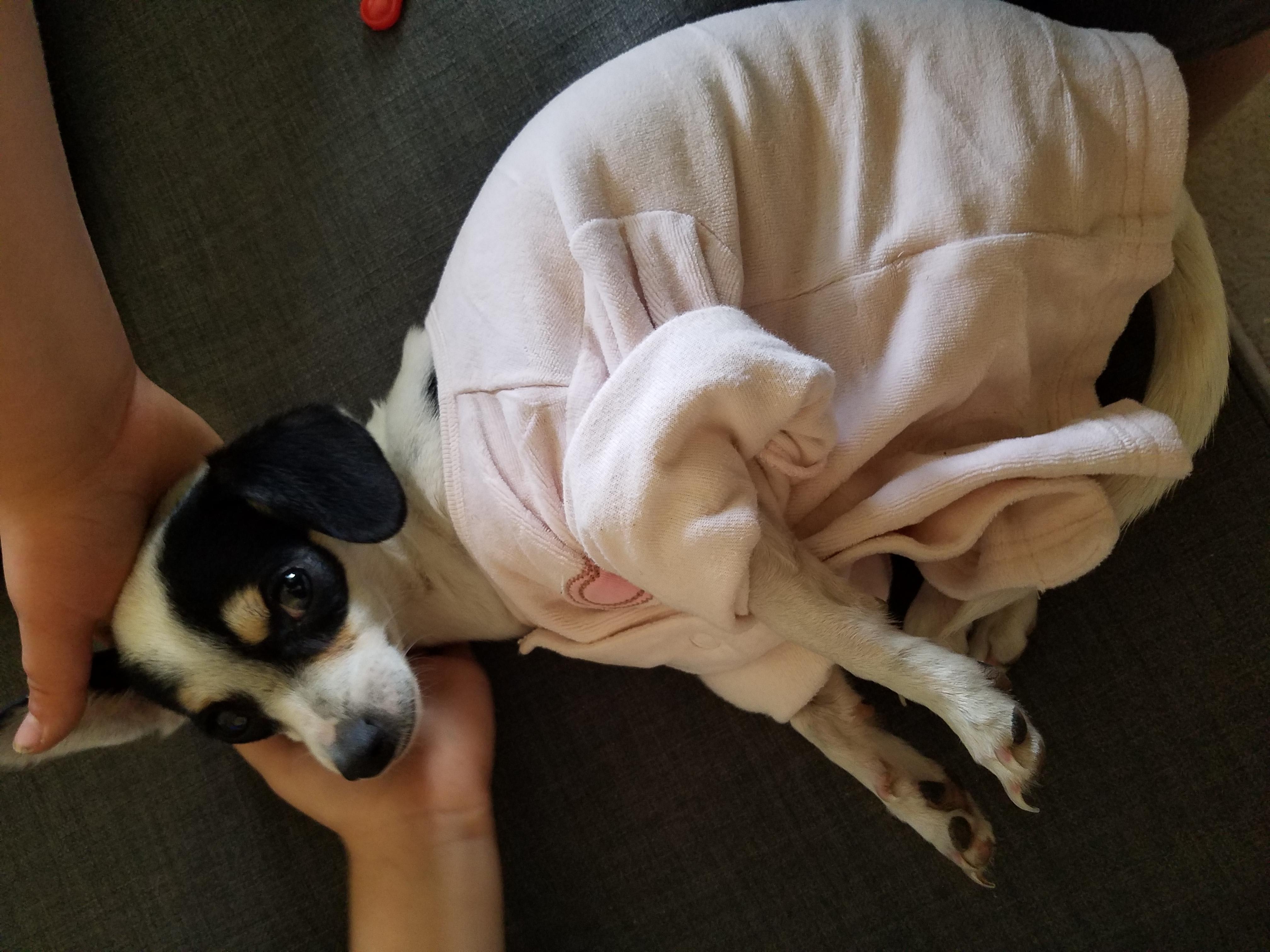 Question details sensitive content