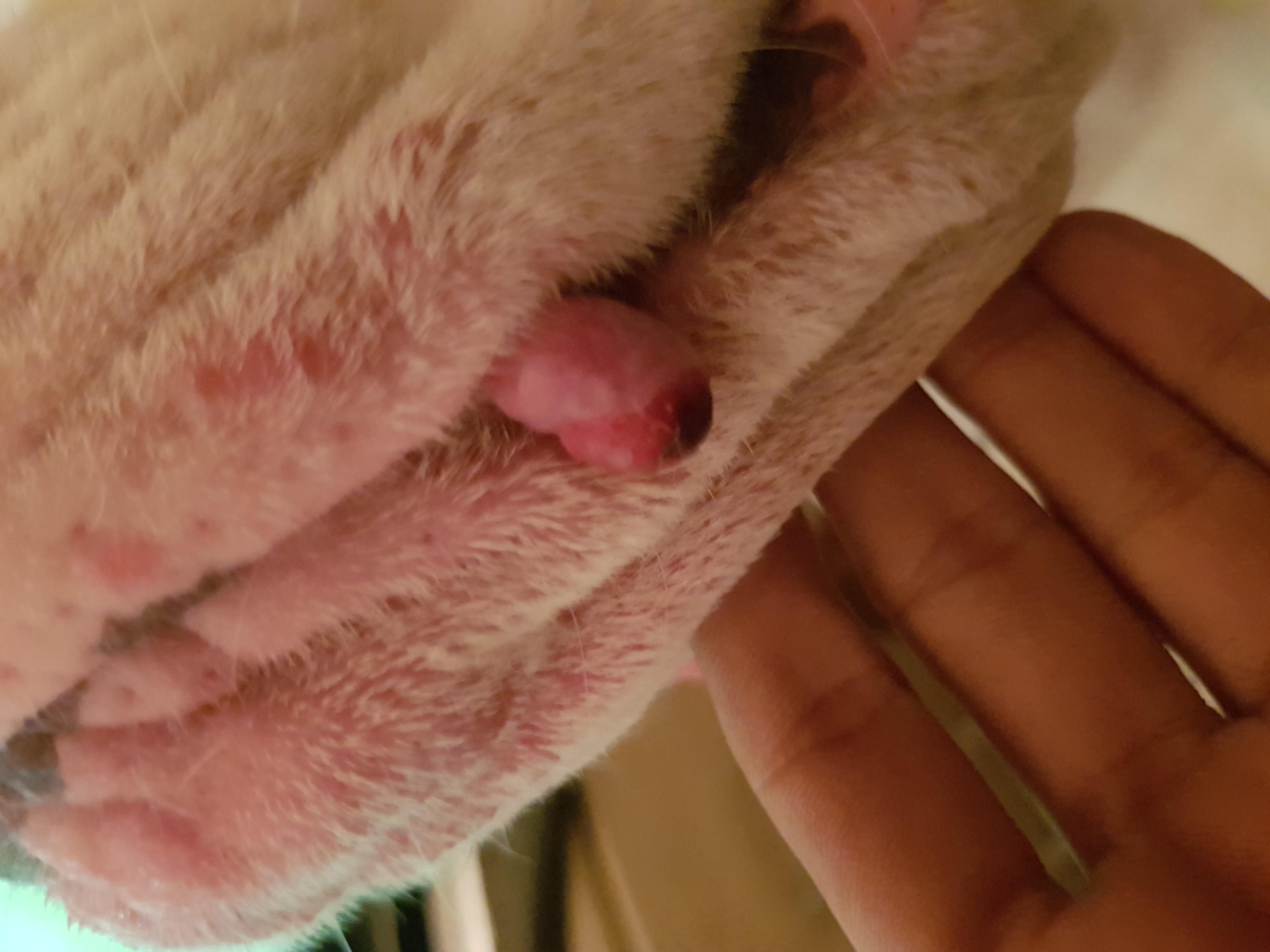 Question details sensitive content