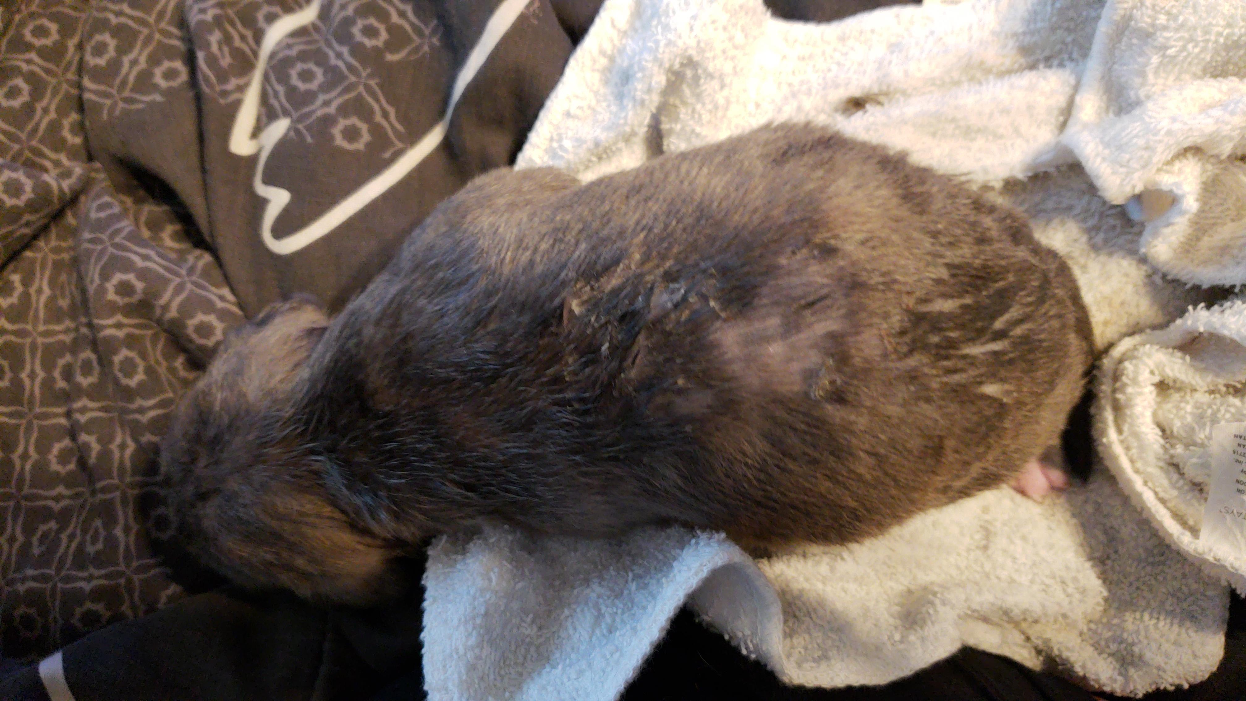 Question details sensitive content