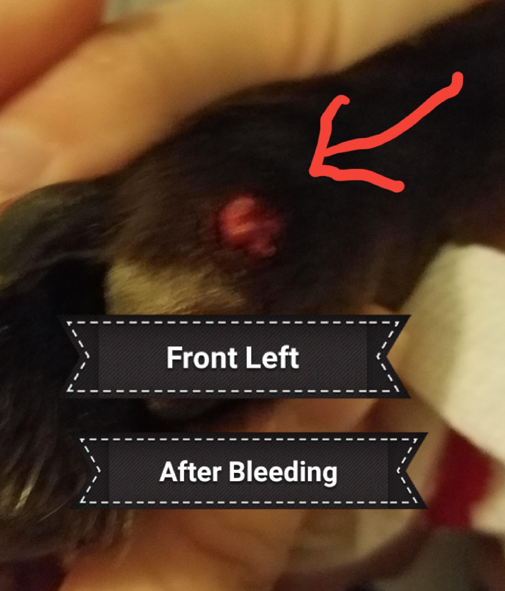 Question details sensitive content