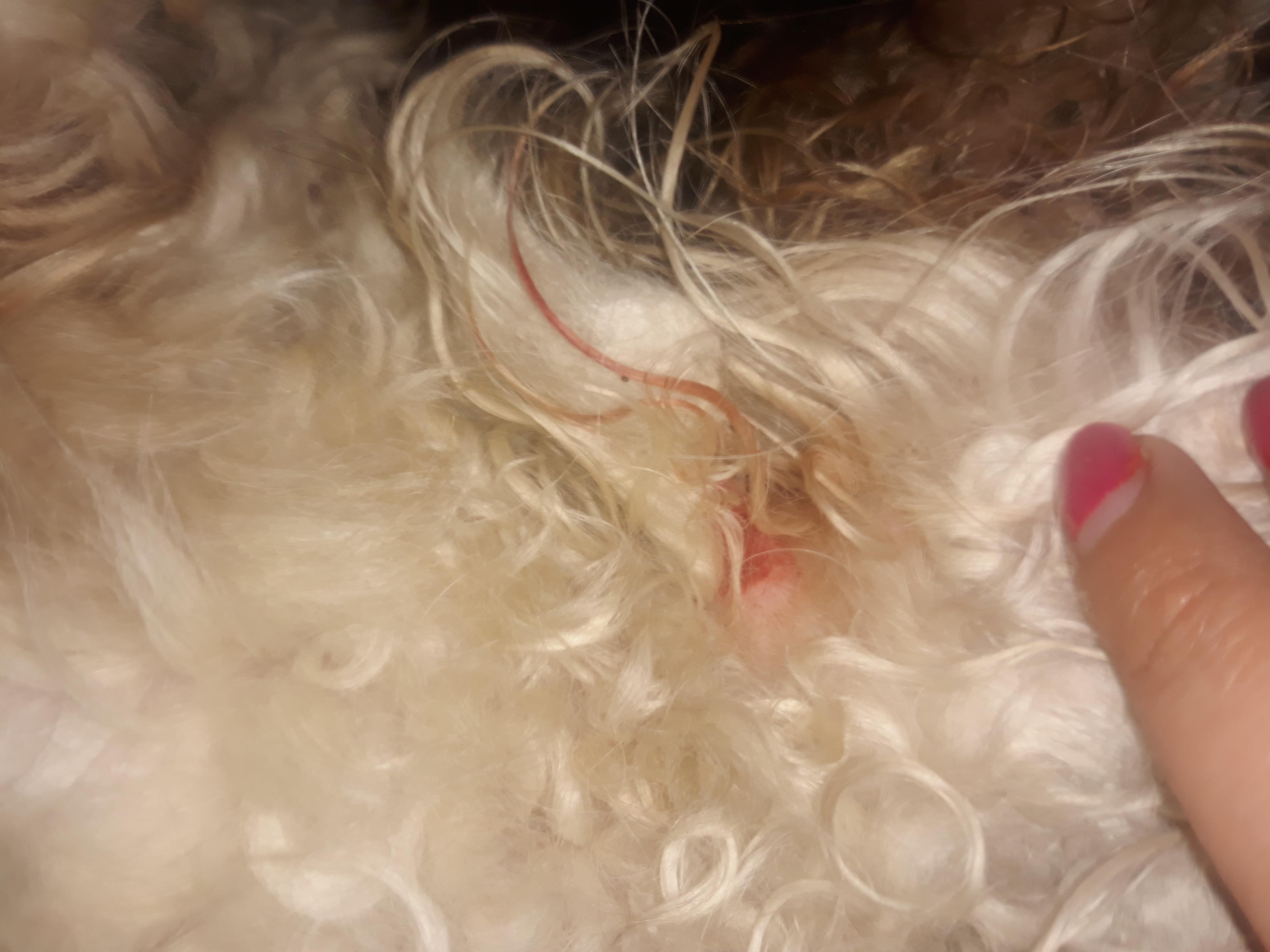 Question details sensitive content