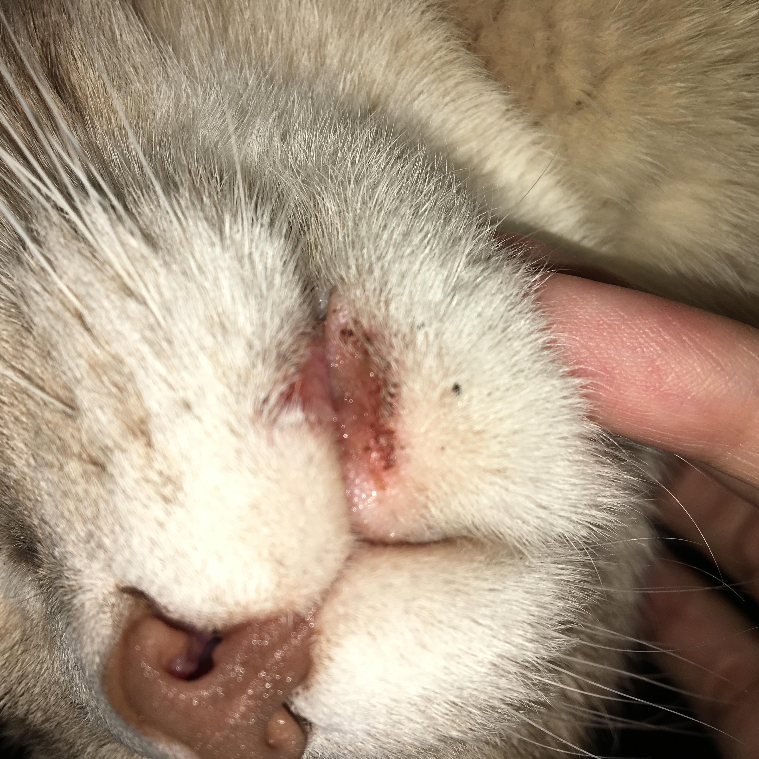 Question details sensitive content