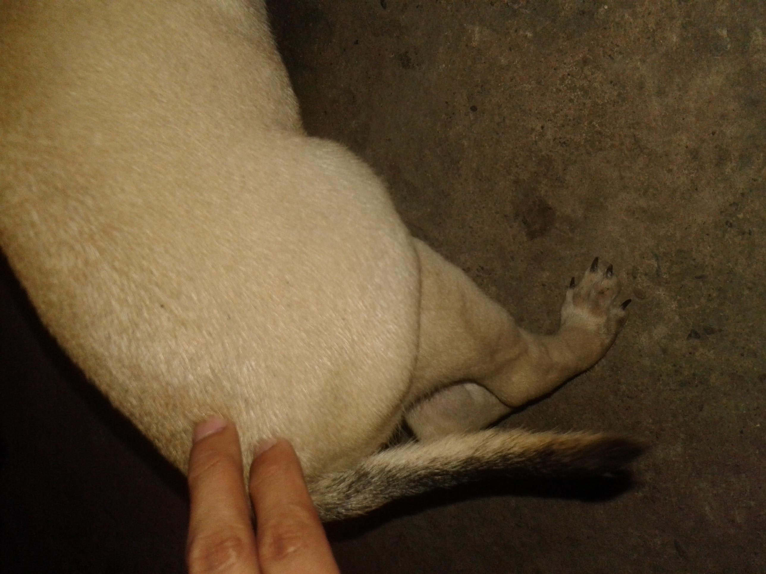 Question details sensitive content