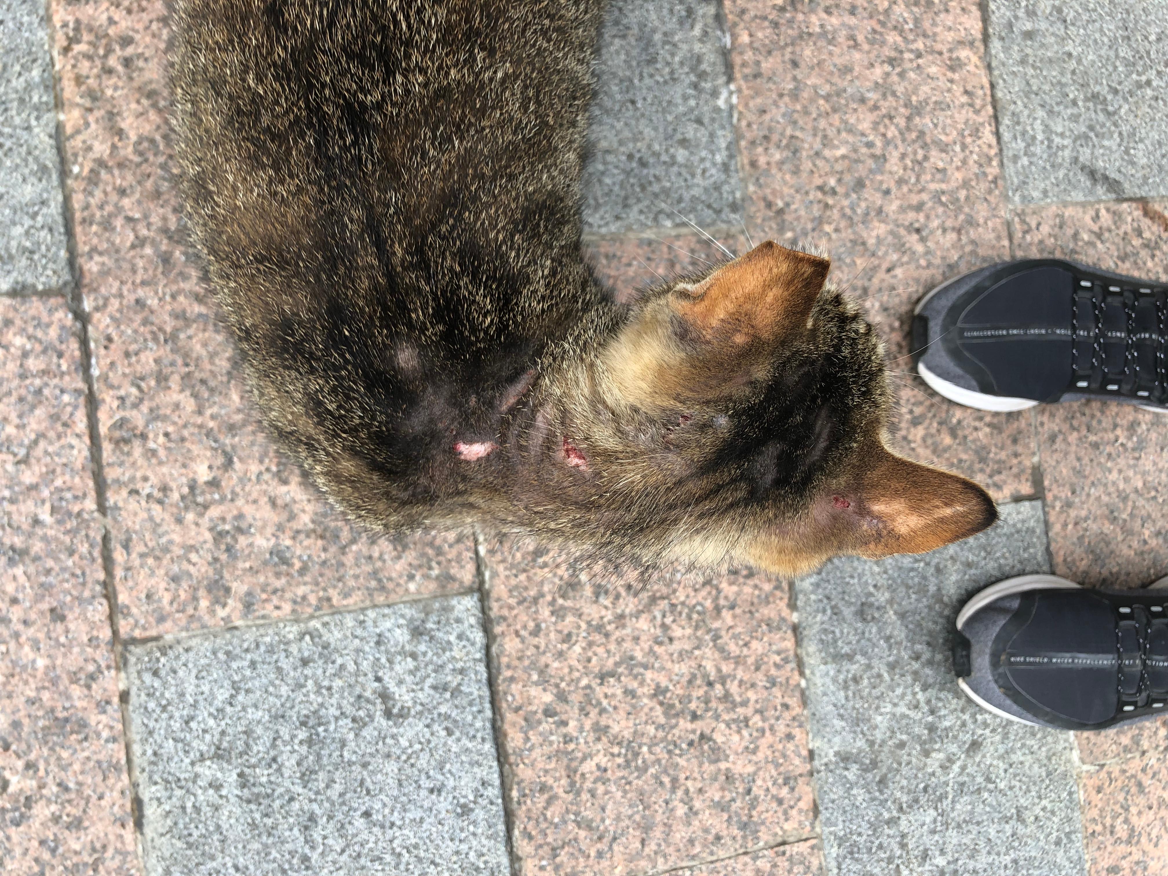 Question details sensitive content