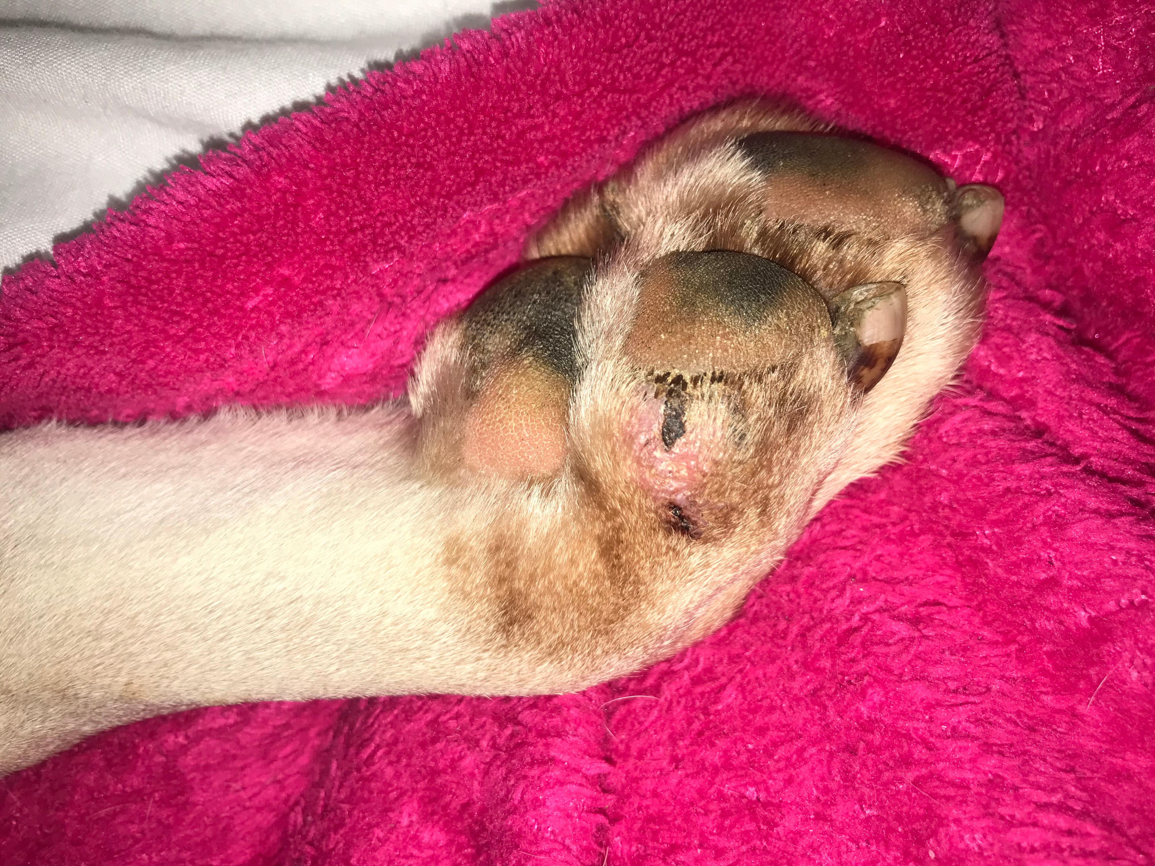 Question details sensitive content