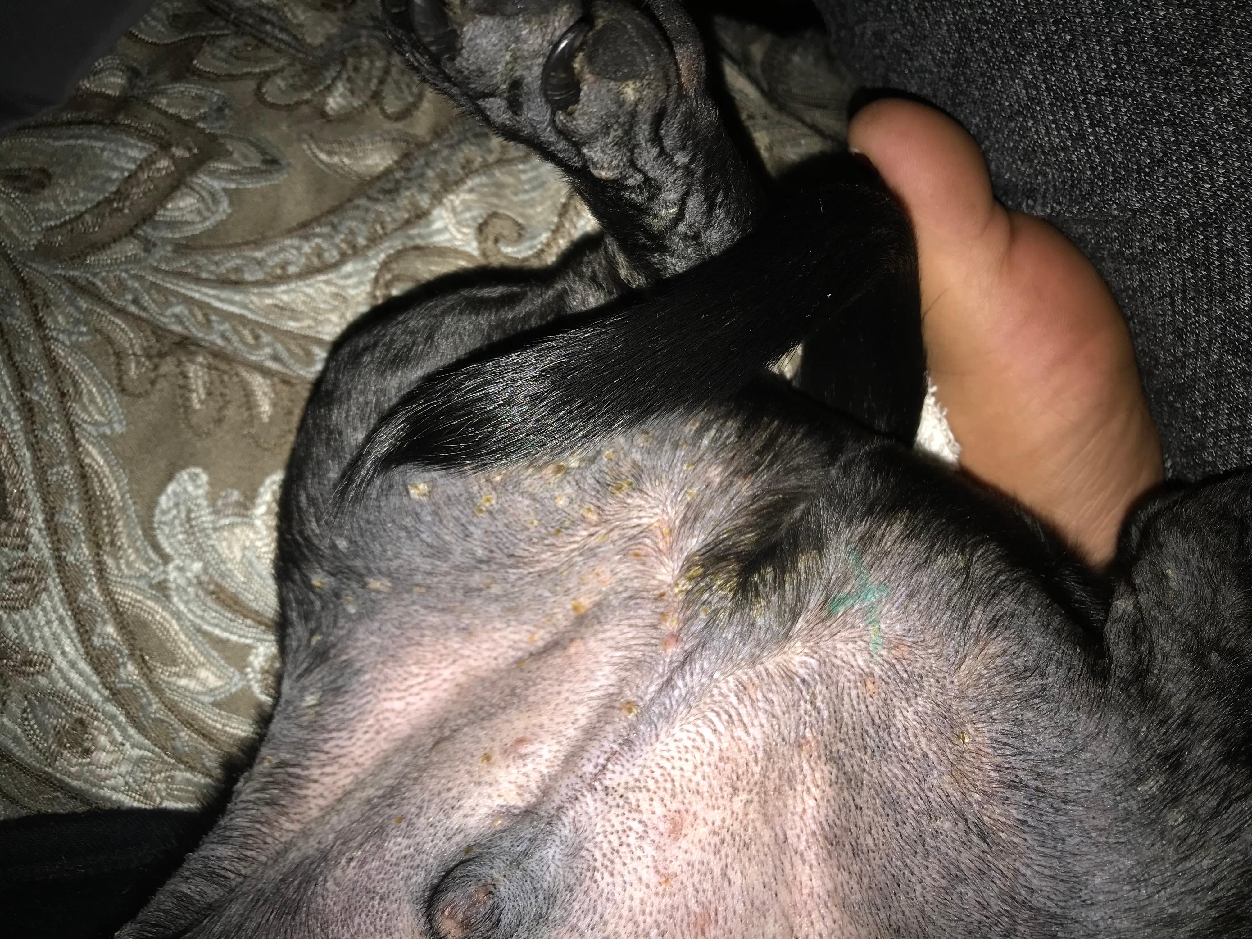 Question details sensitive content