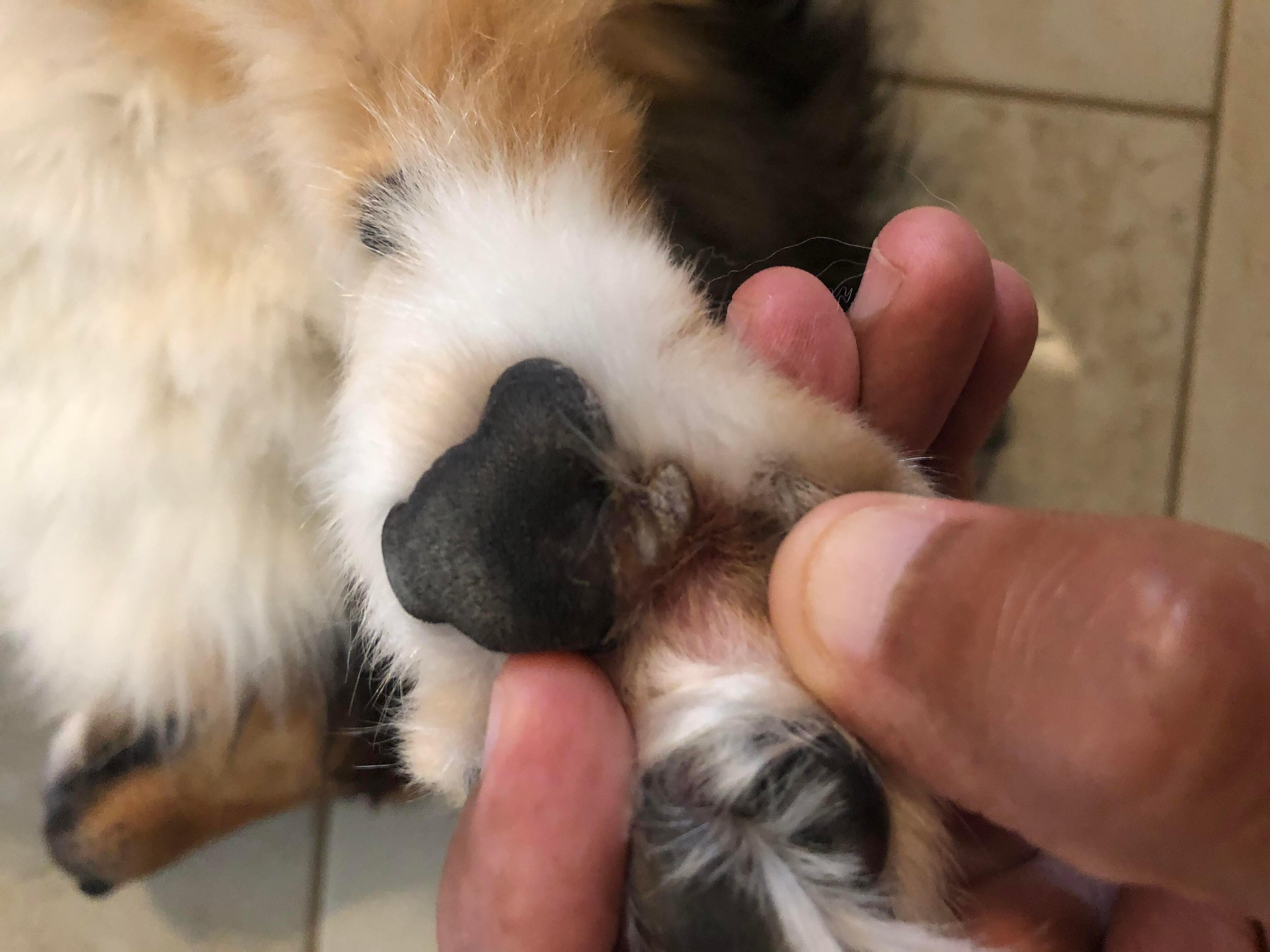 Question details sensitive content