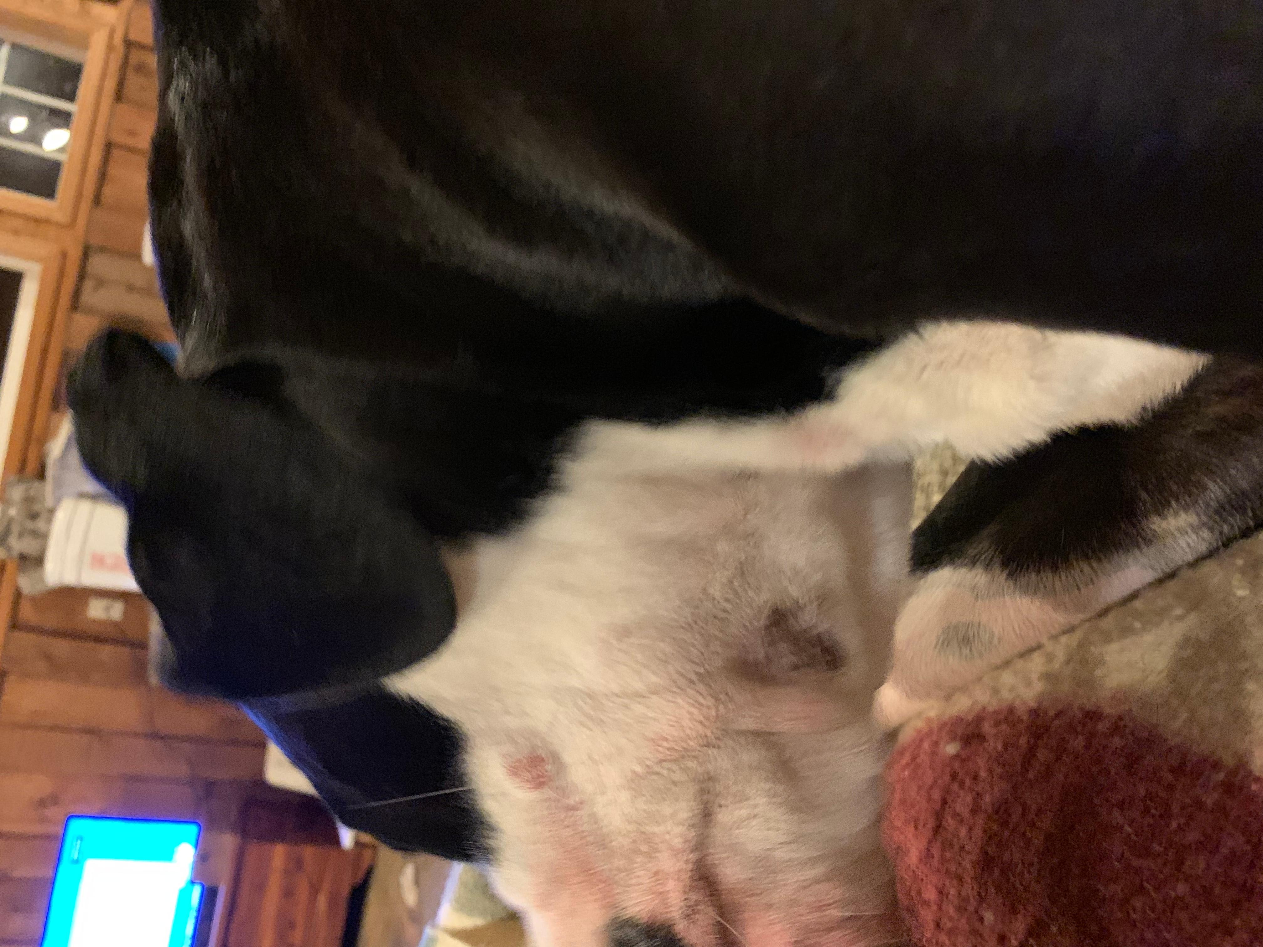 Question details sensitive content