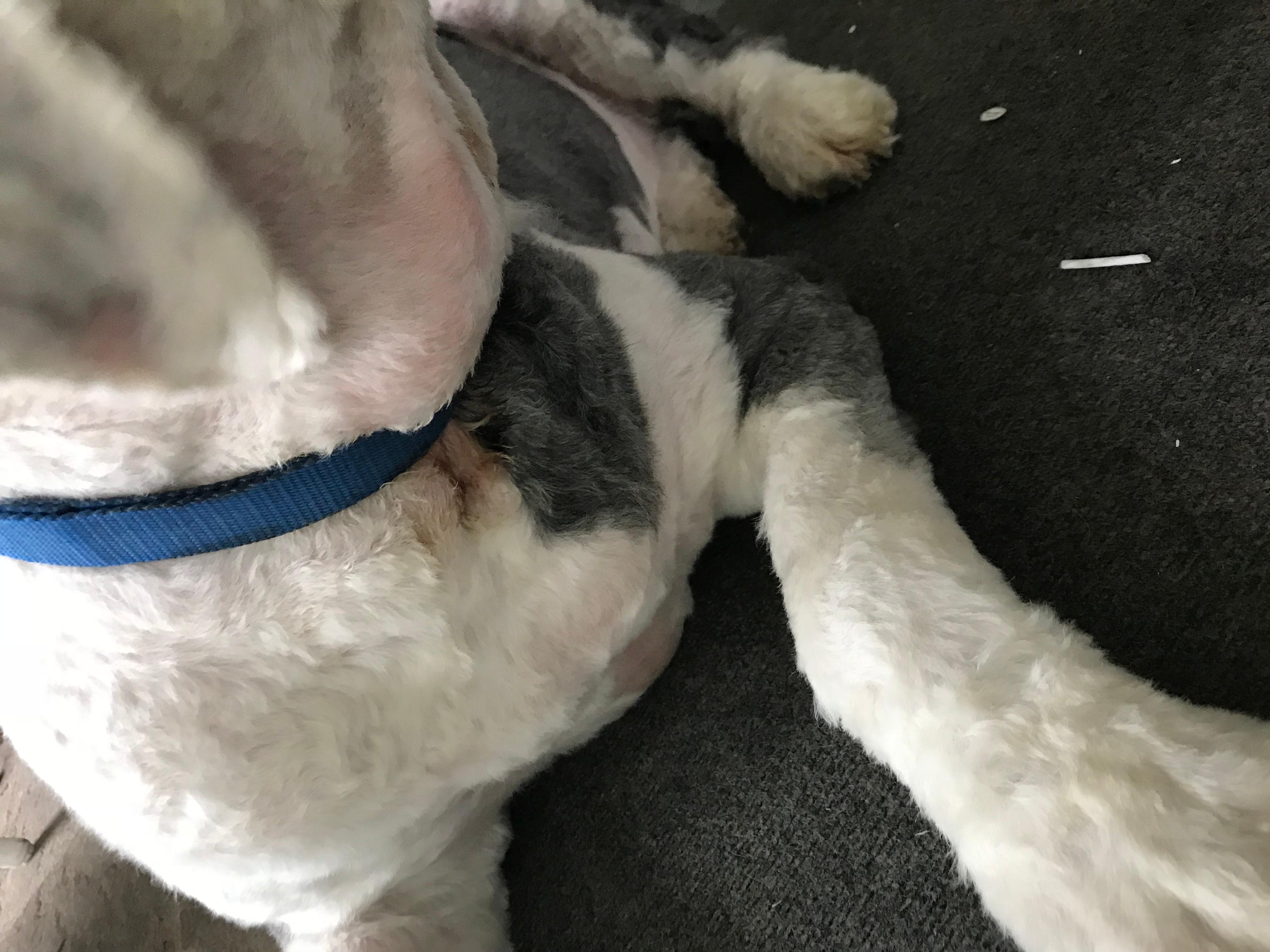 Question details sensitive content