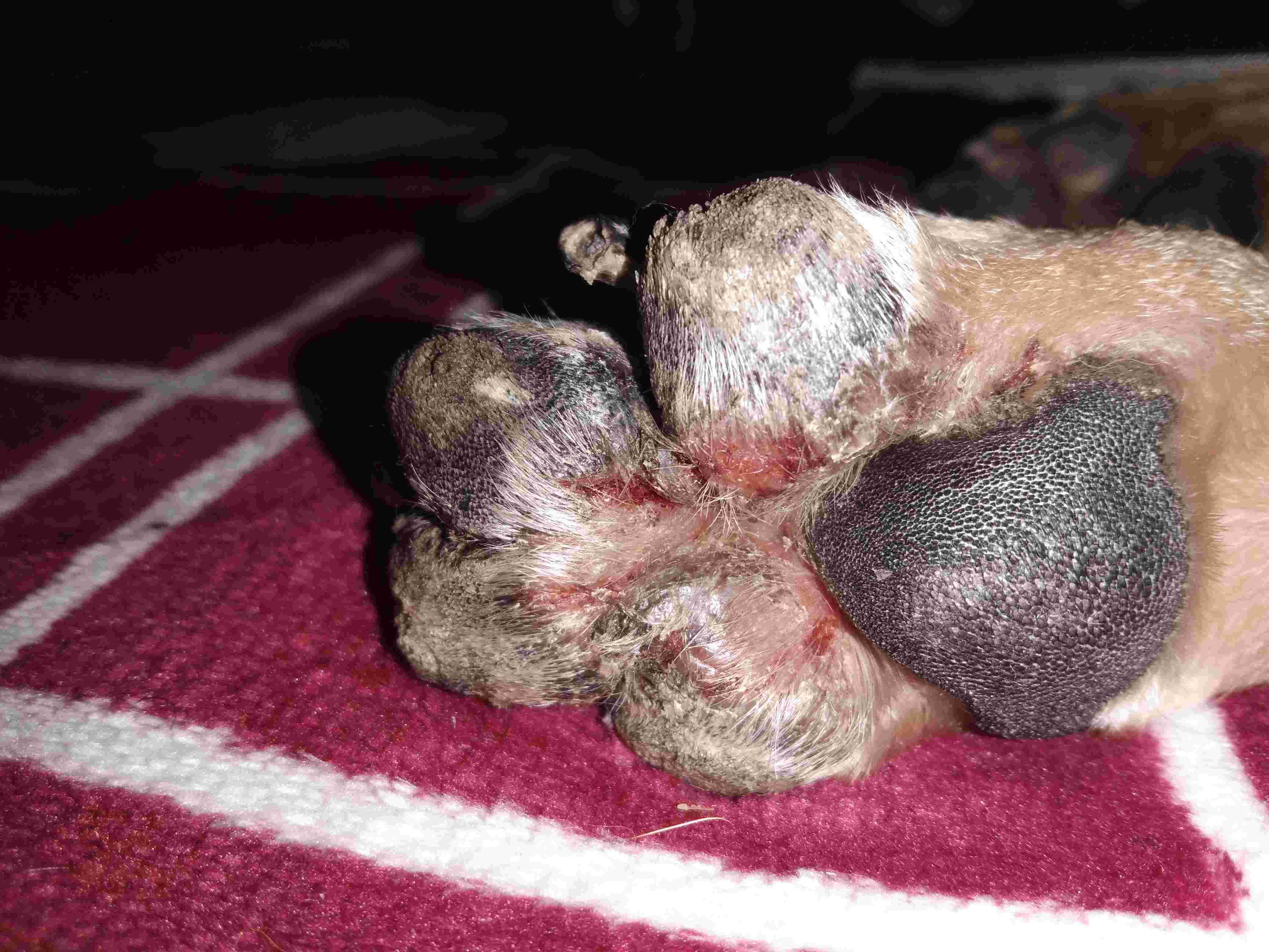 Question details sensitive content