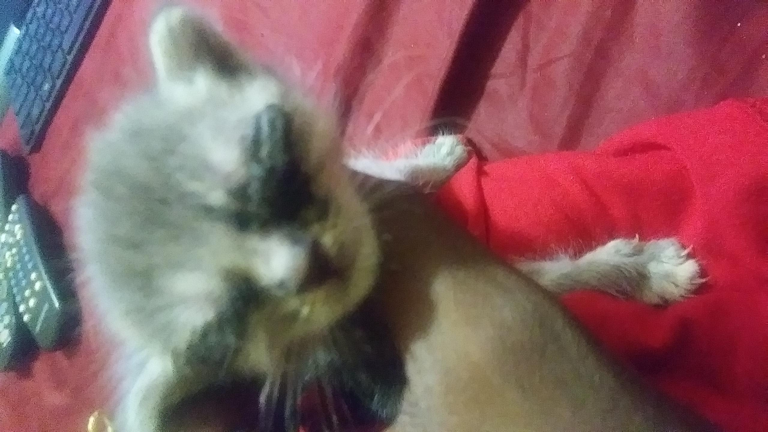 Question details sensitive content