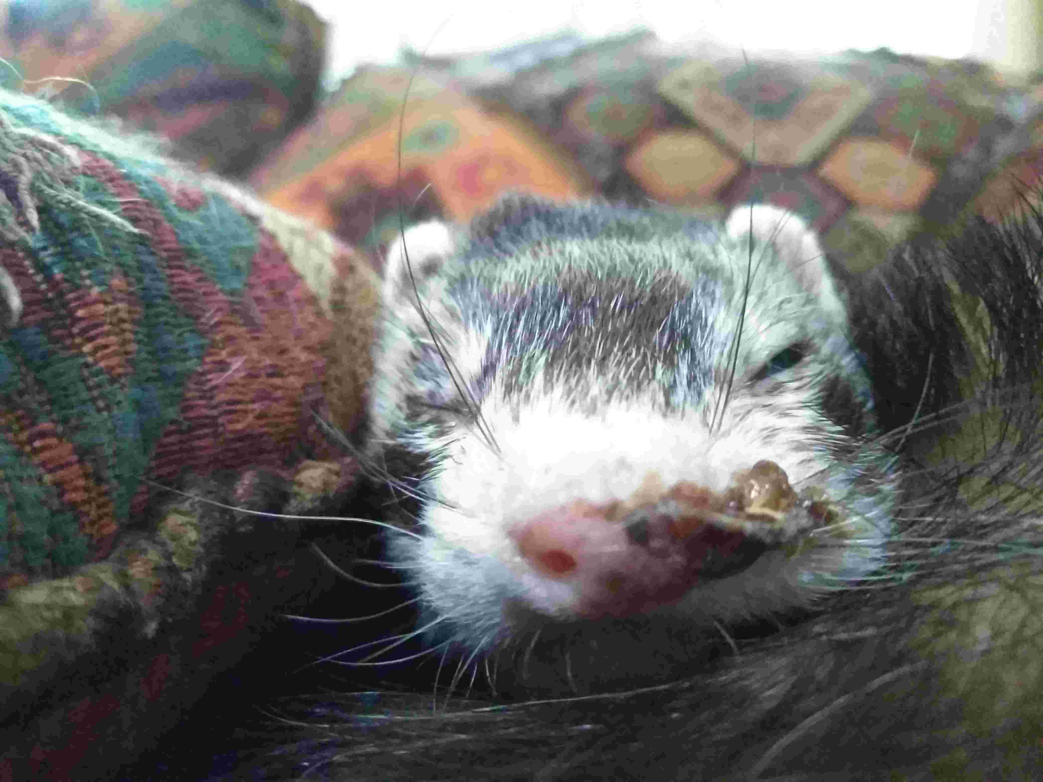 Question details sensitive content