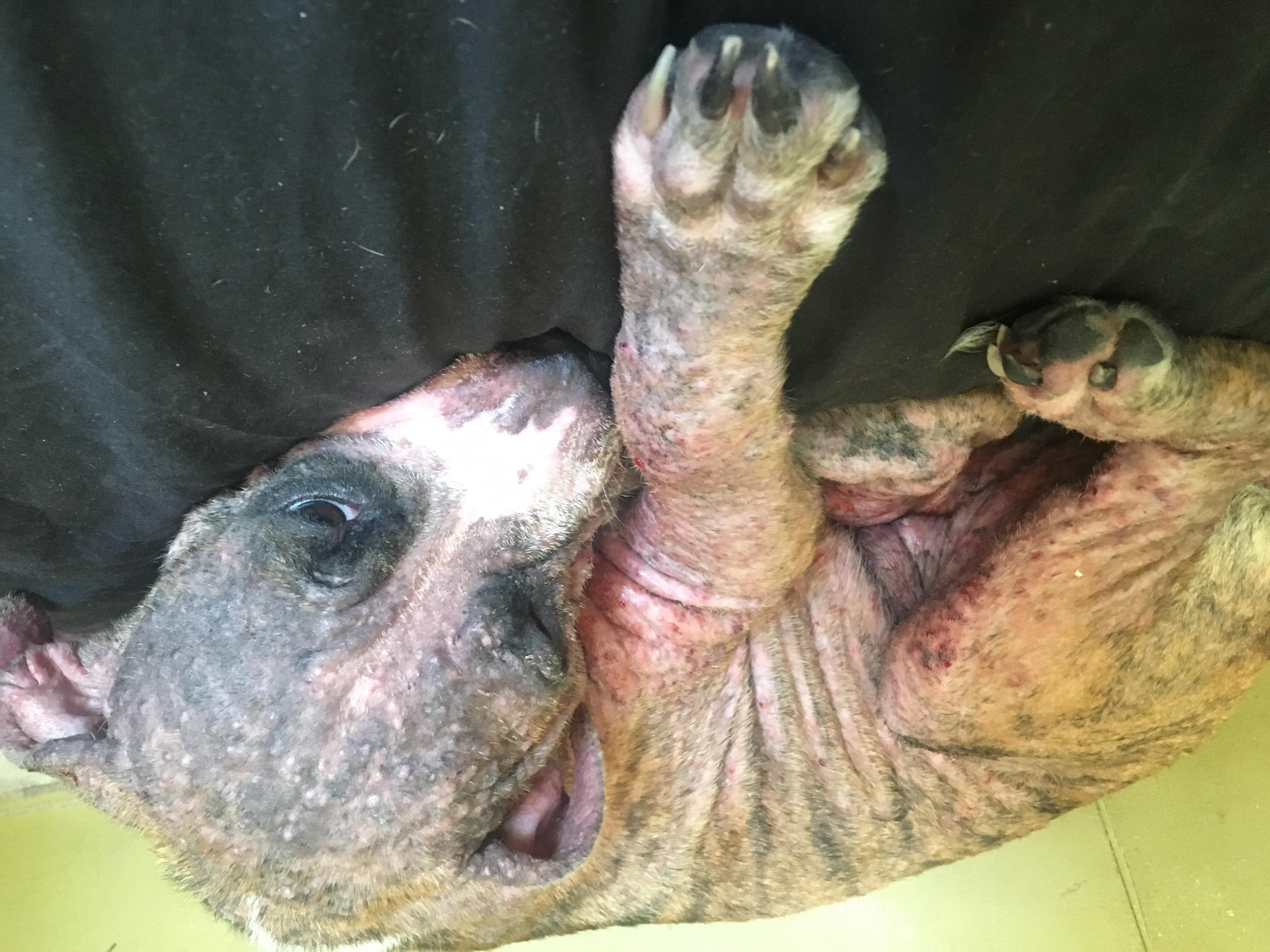 Question details sensitive content