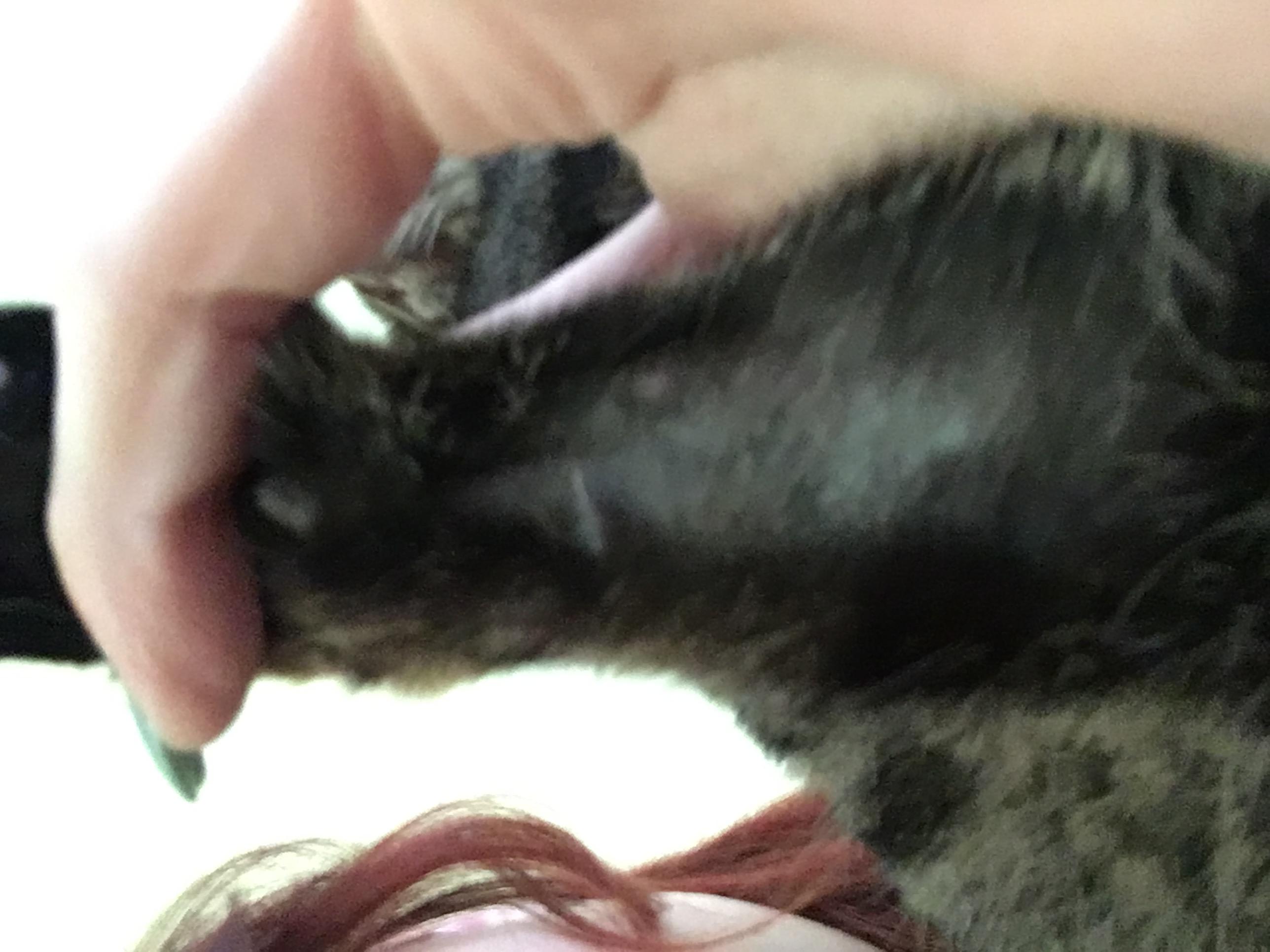 Question details sensitive content