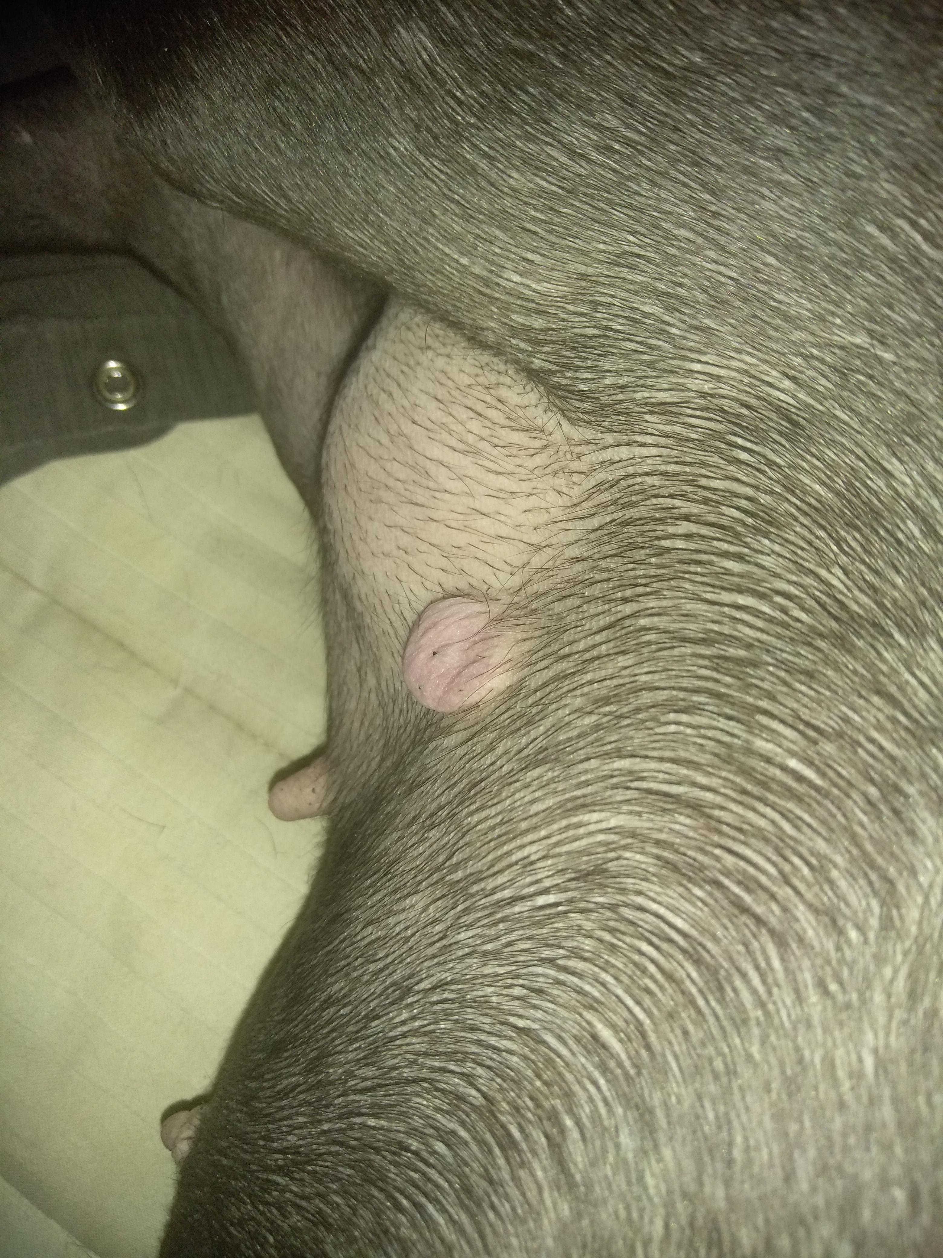 Question details sensitive content