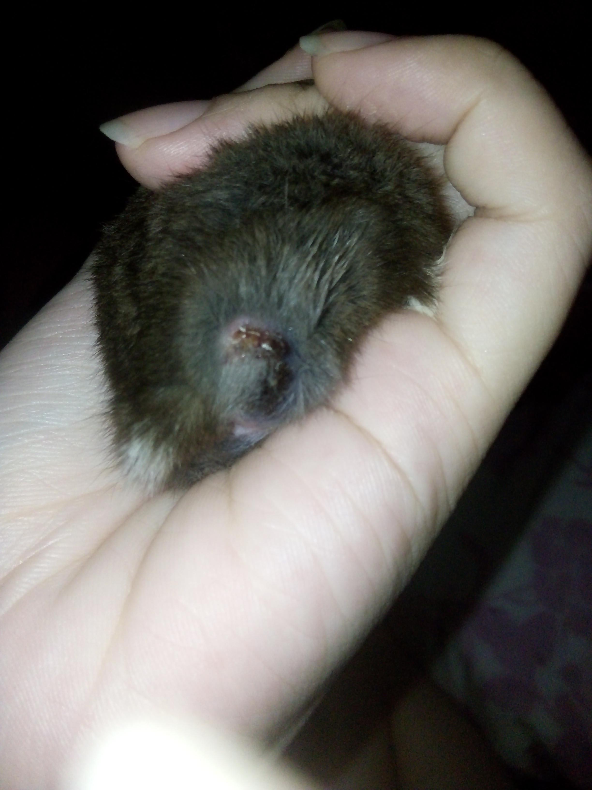 Question details sensitive content