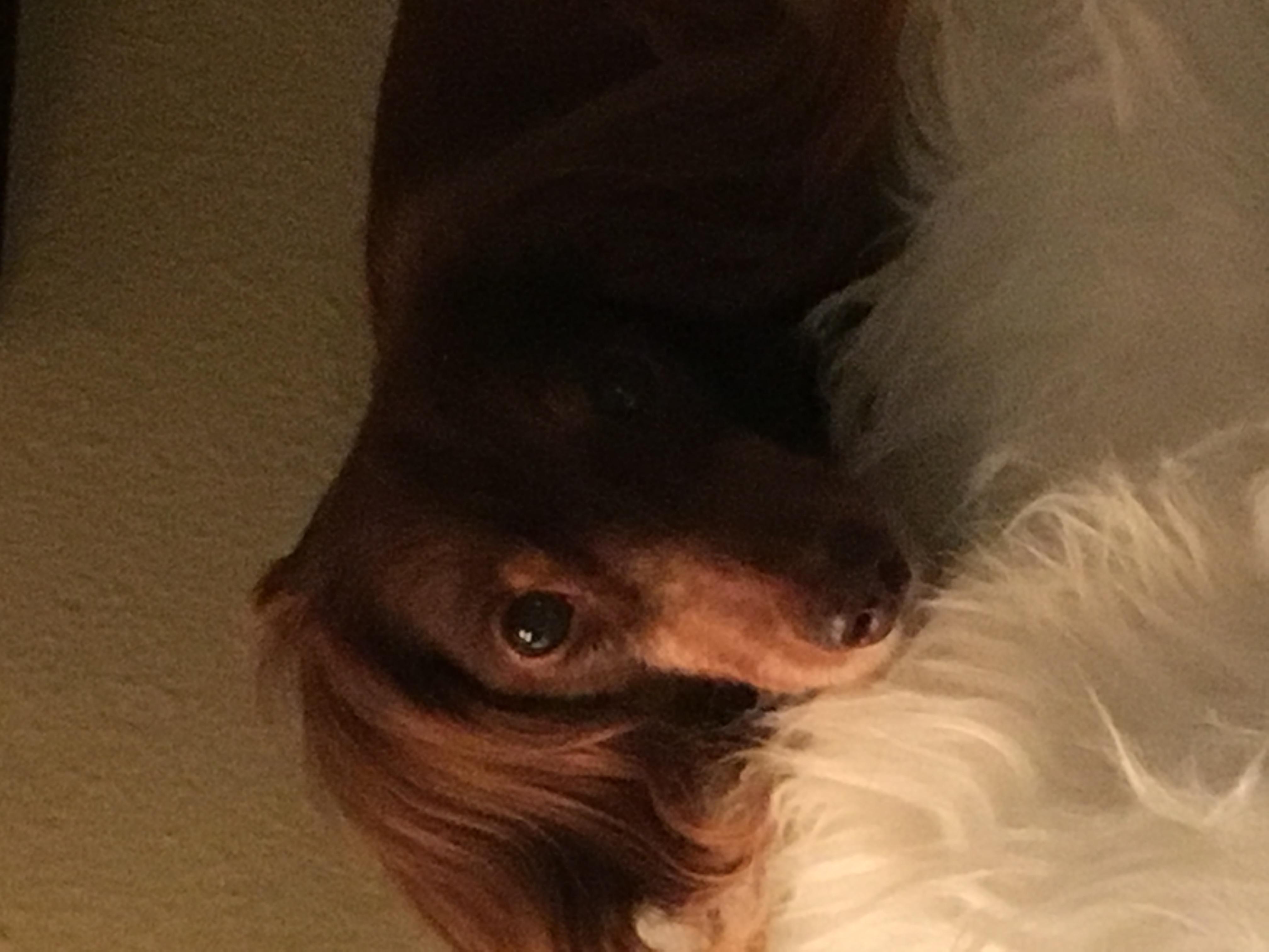 Question details sensitive content