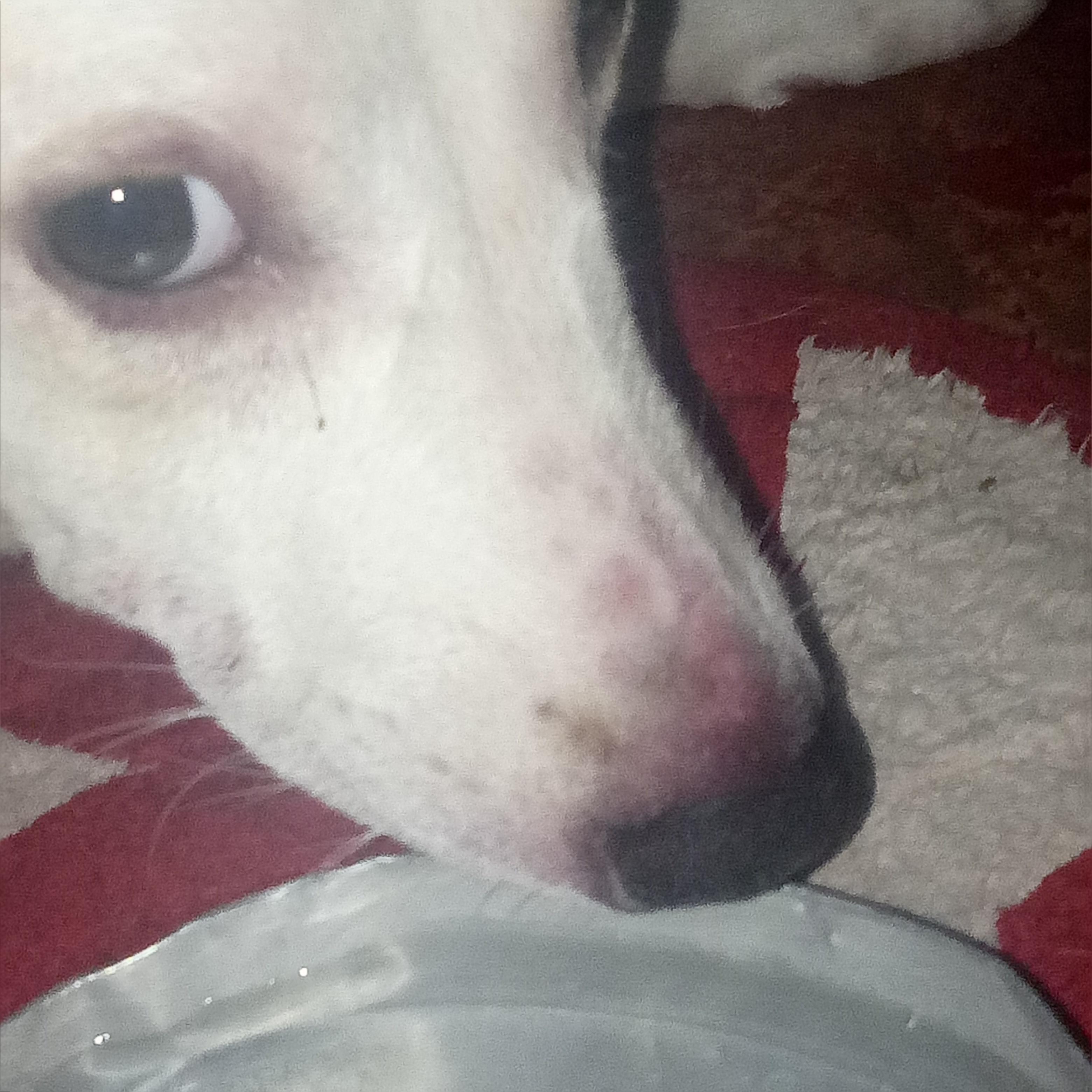 Question details sensitive content