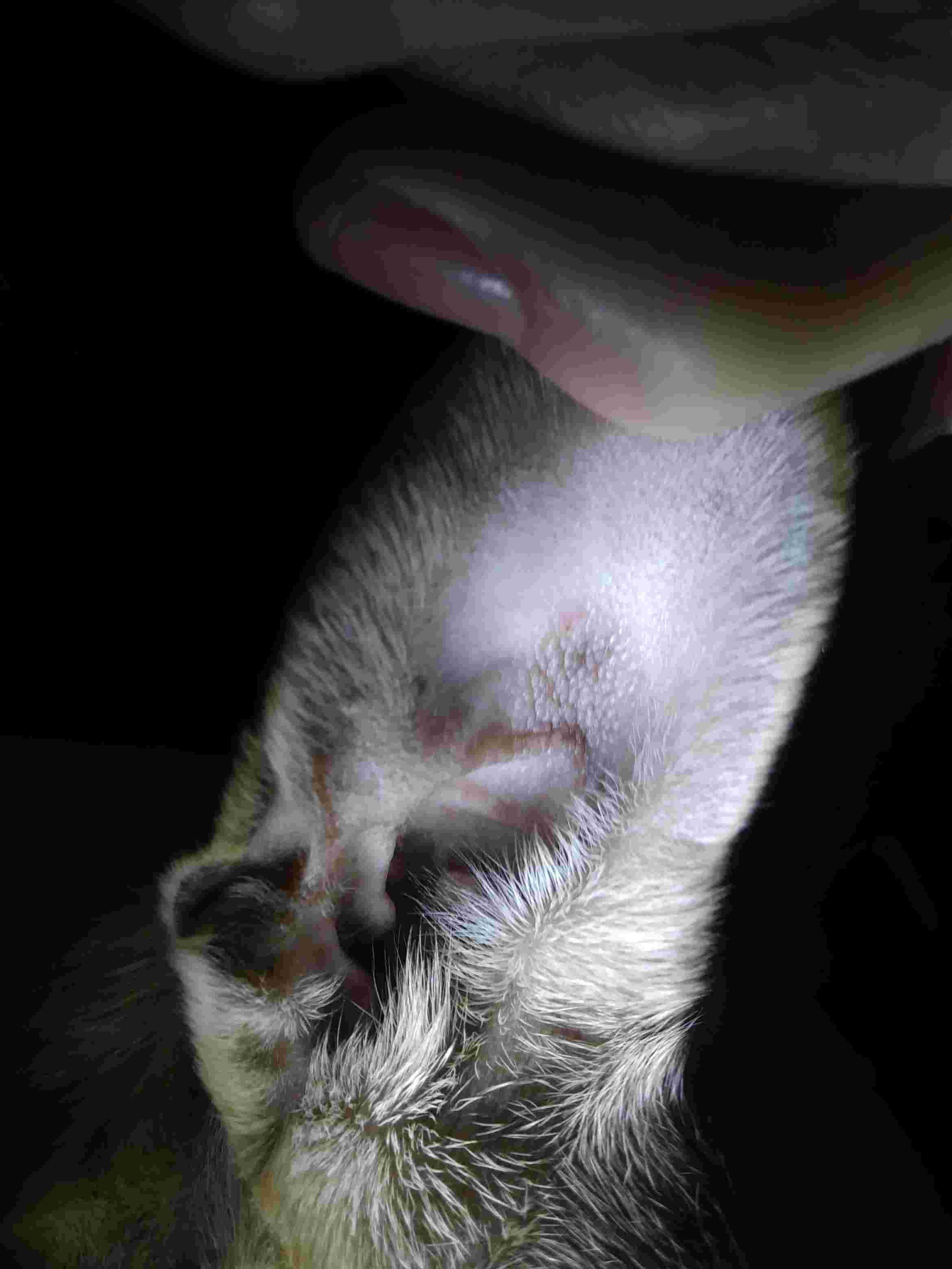 Question details sensitive content