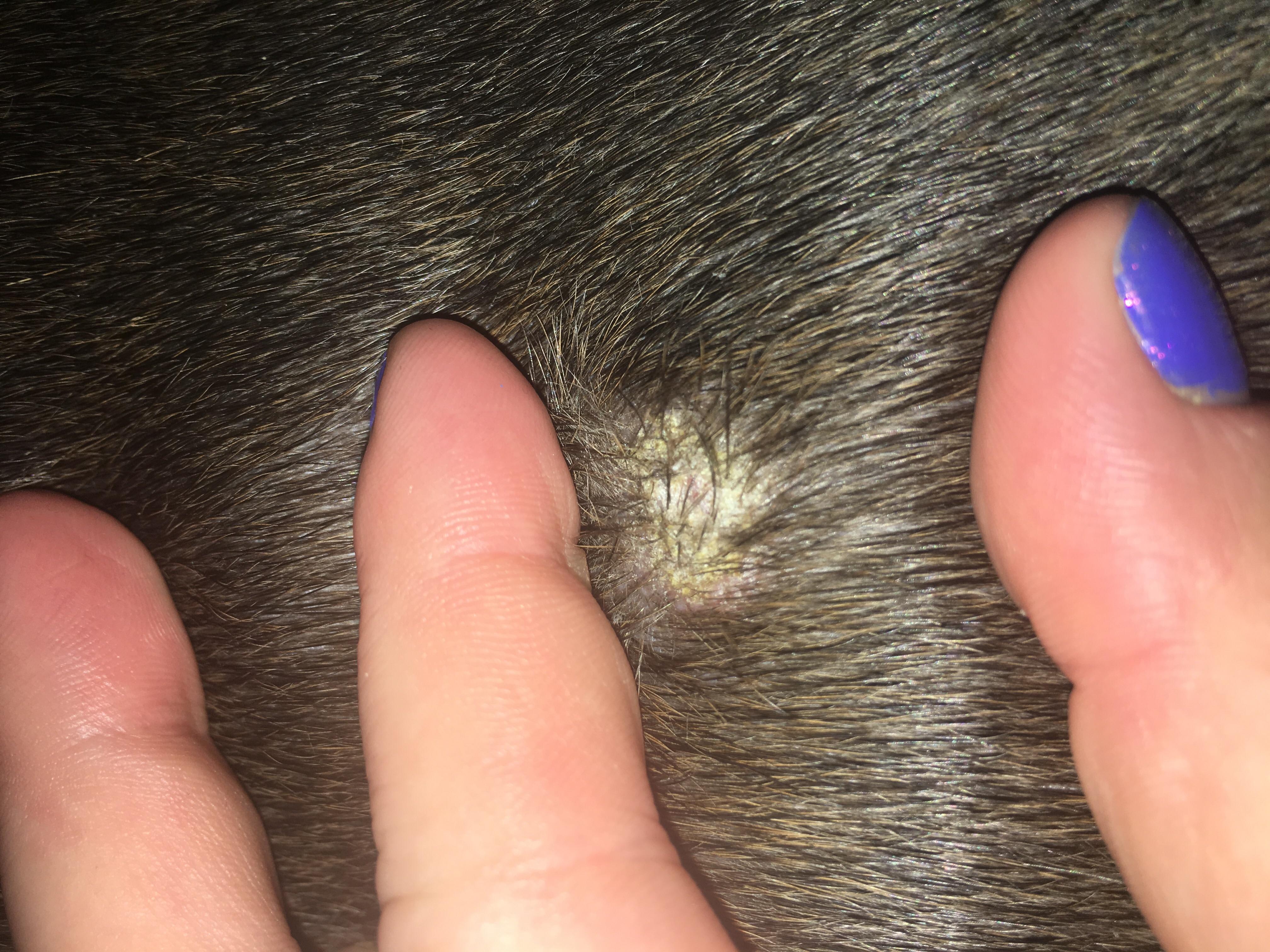 Question details sensitive content