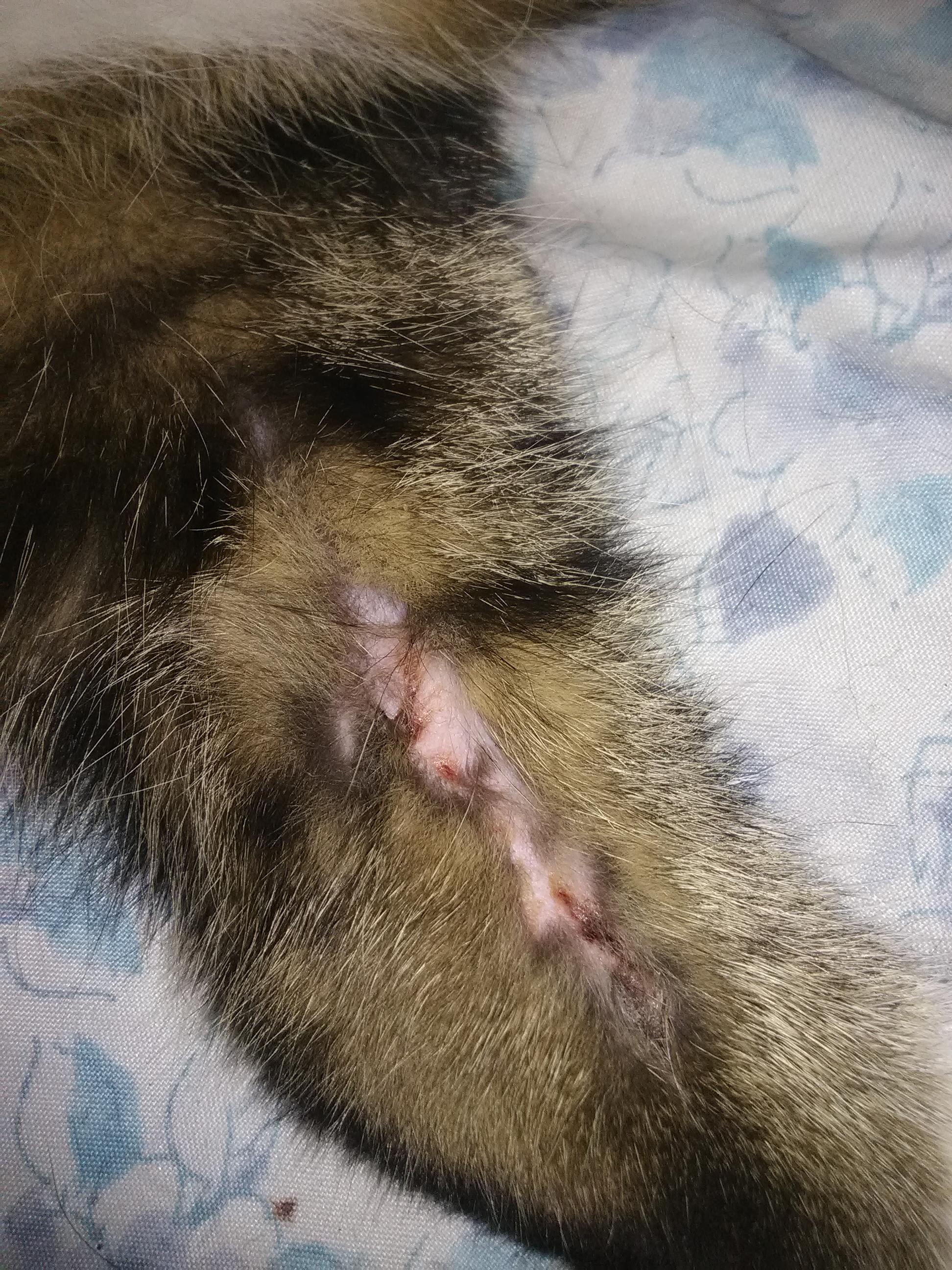 Question details sensitive content